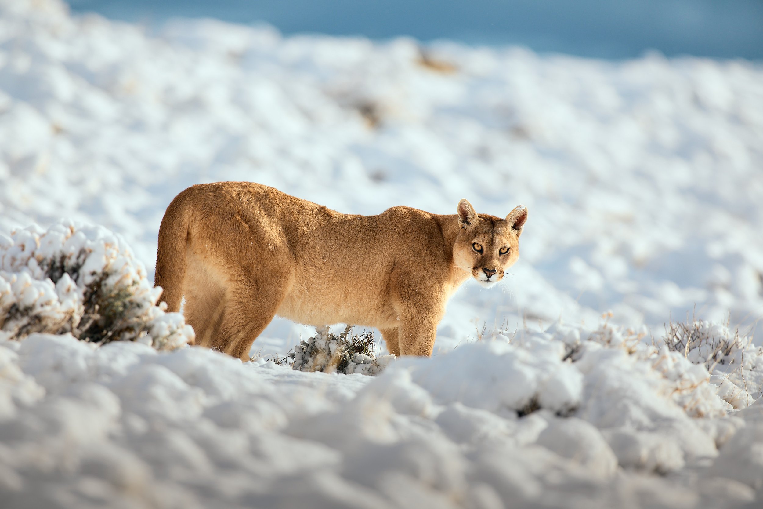Making the Most of Harsh&nbsp;Light