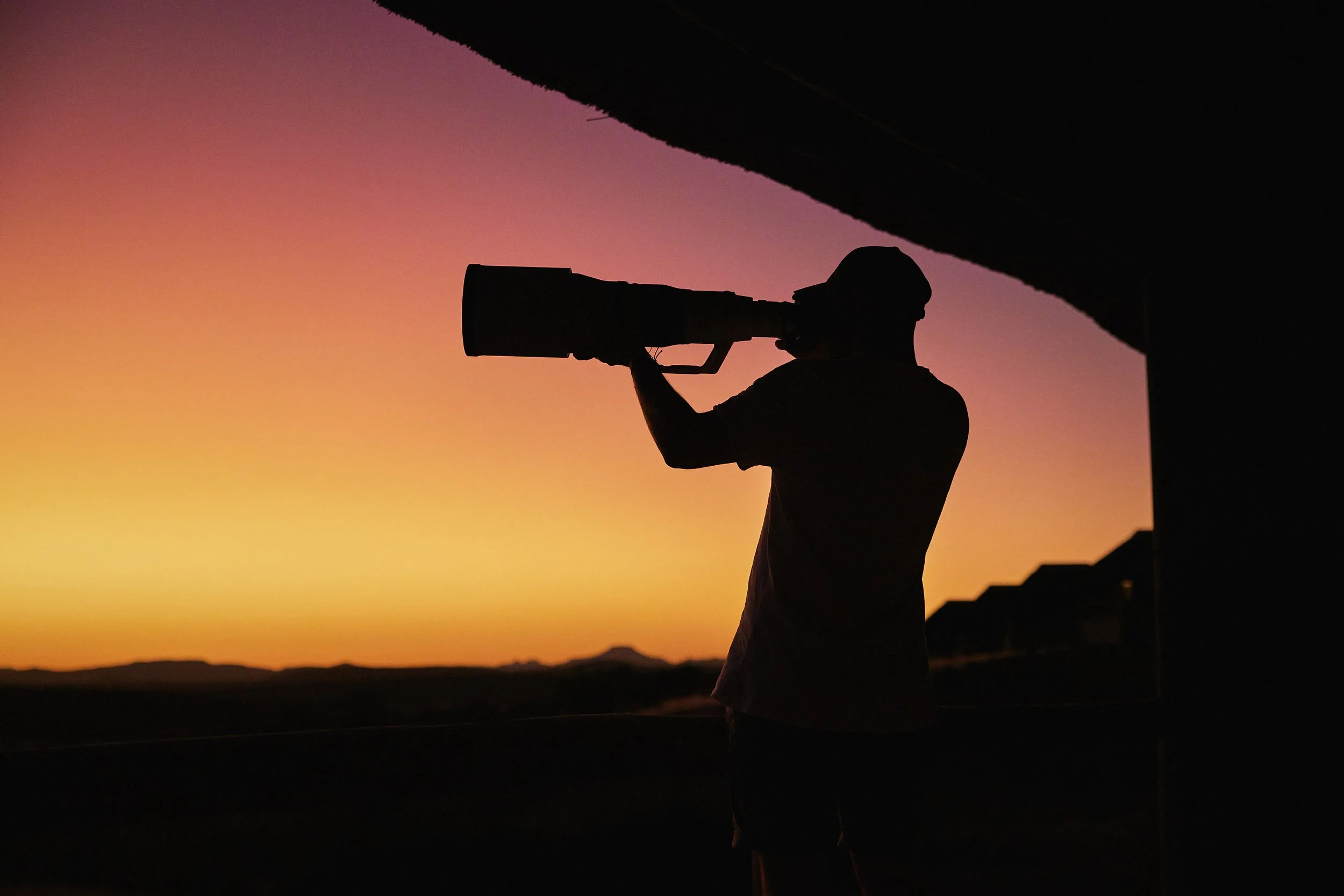 Top Safari Lenses of 2026: Field‑Tested Favourites