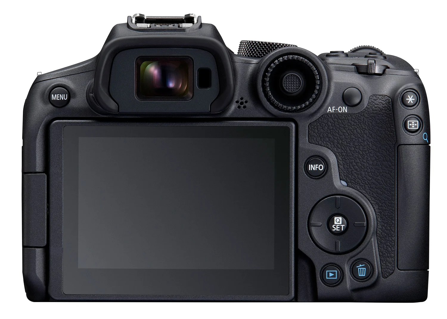 Best Wildlife Photography Cameras for Beginners in 2026 (Top Picks ...