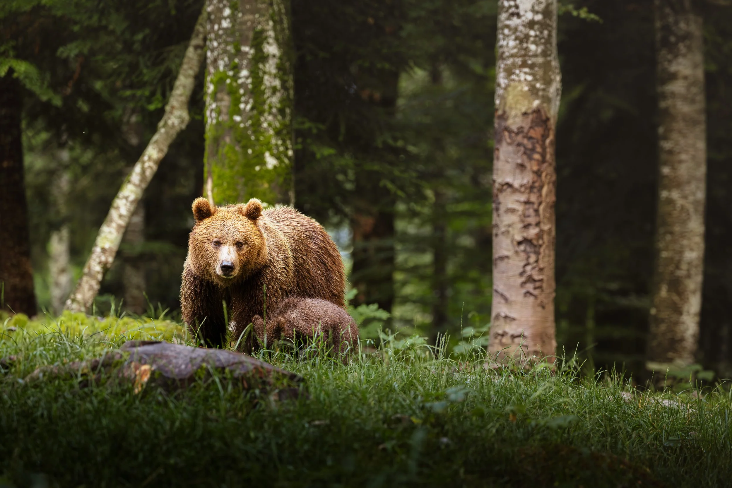 250707_SARTORI_Canon EOS R3_1994.jpg