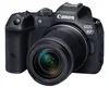 Best Wildlife Photography Cameras for Beginners in 2026 (Top Picks ...