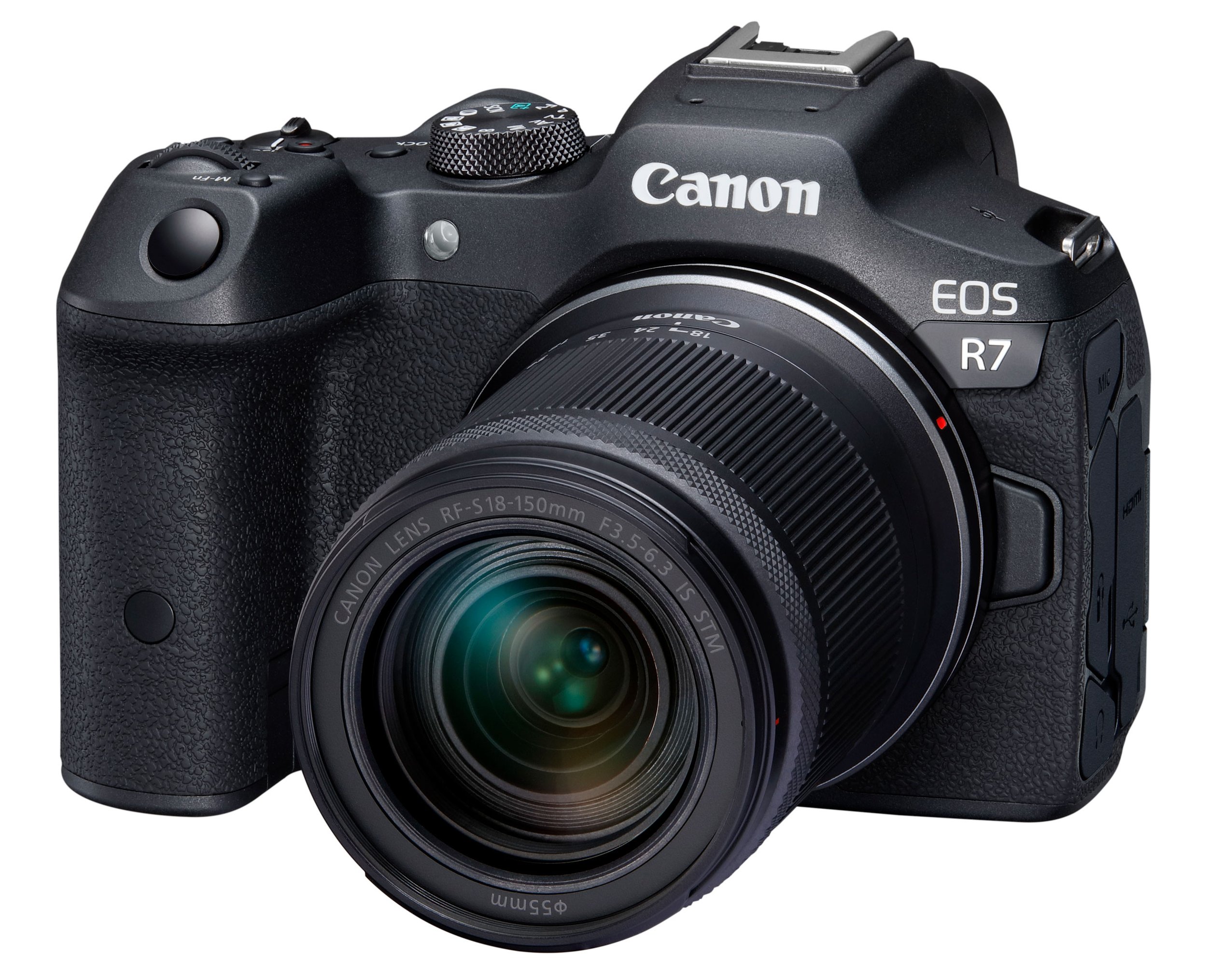 Best Wildlife Photography Cameras for Beginners in 2026 (Top Picks ...