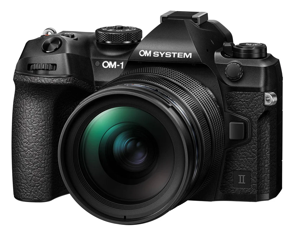 Best Wildlife Photography Cameras for Beginners in 2026 (Top Picks ...