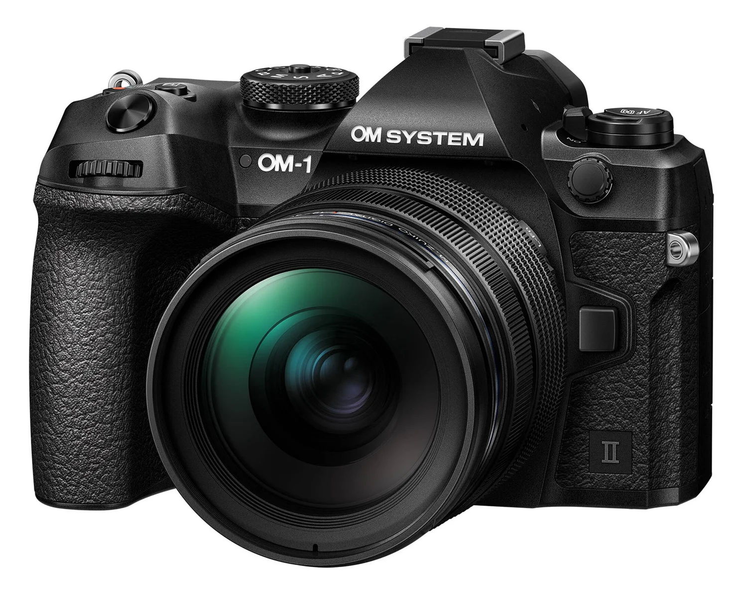 Best Wildlife Photography Cameras for Beginners in 2026 (Top Picks ...