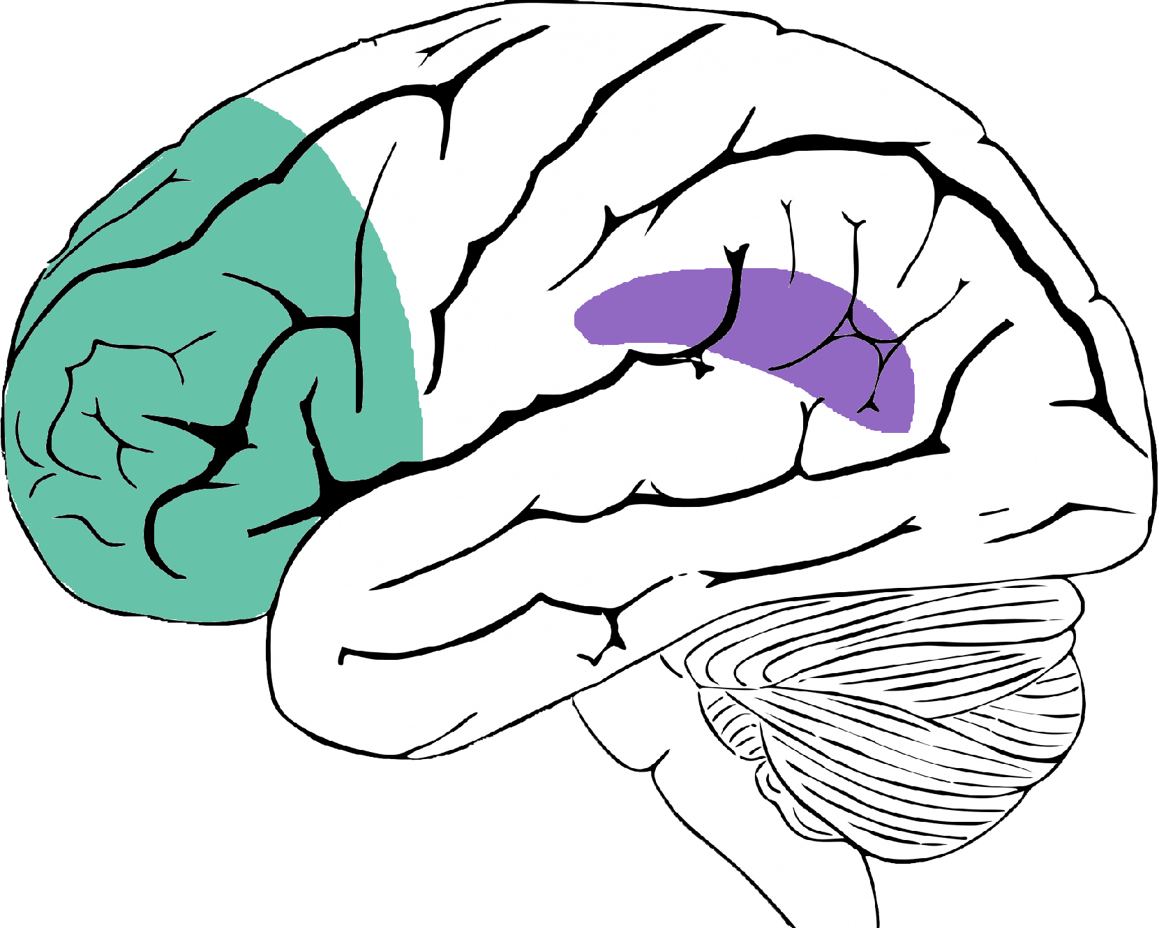 Demystifying Reflective Practice — Wisconsin Alliance for Infant Mental ...