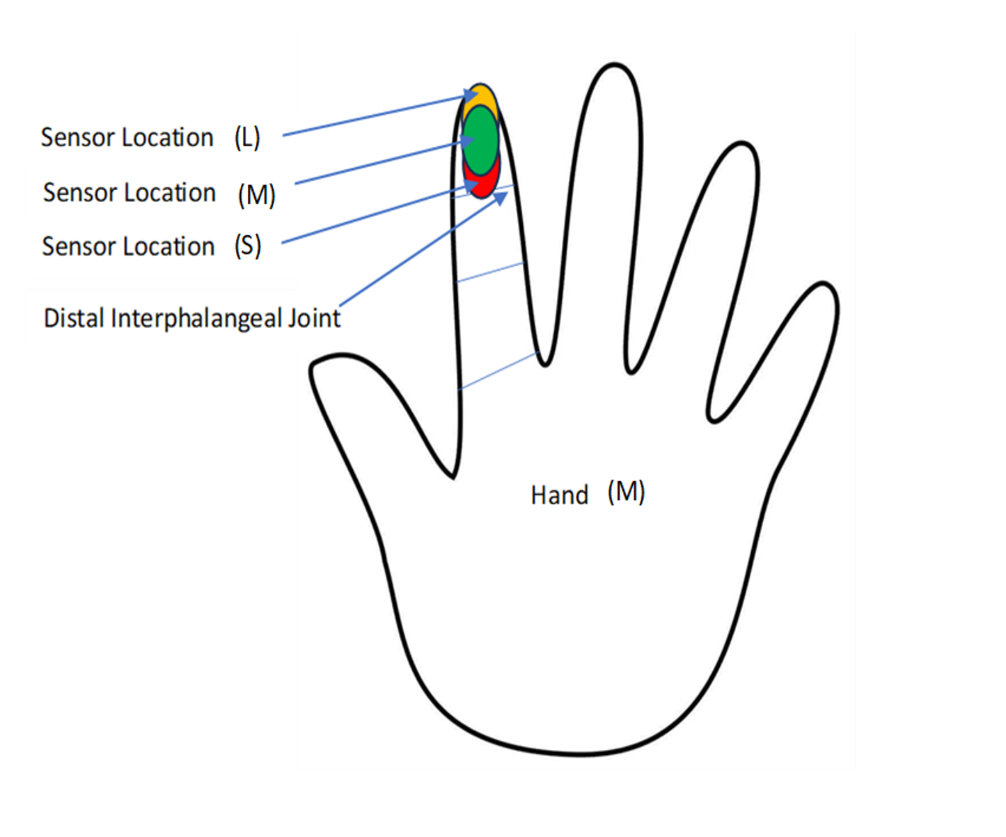 Interpretation Of TactileGlove Data In Applied Use Cases — PPS