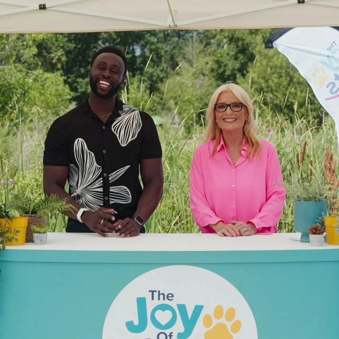 The Joy of Pets TV Show on ITV