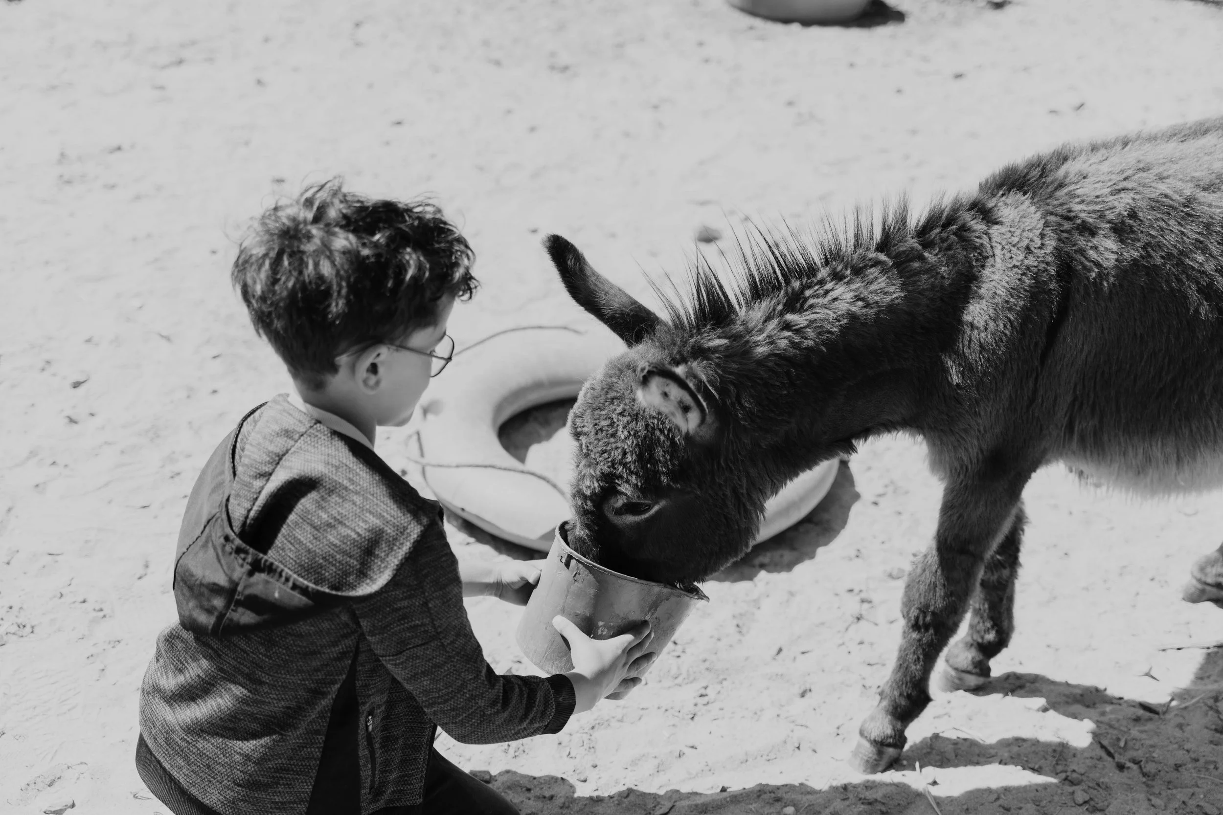 Ferme pédagogique-21.jpg