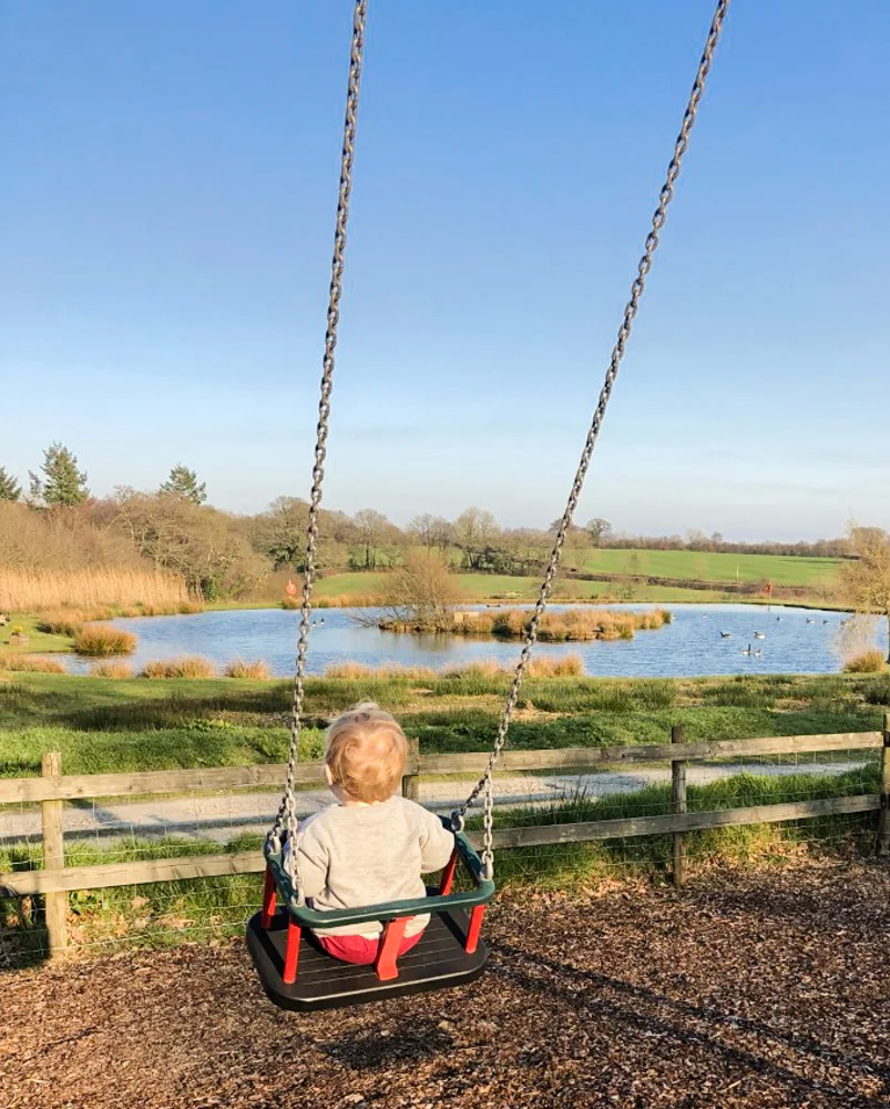 Child Friendly -1.jpg