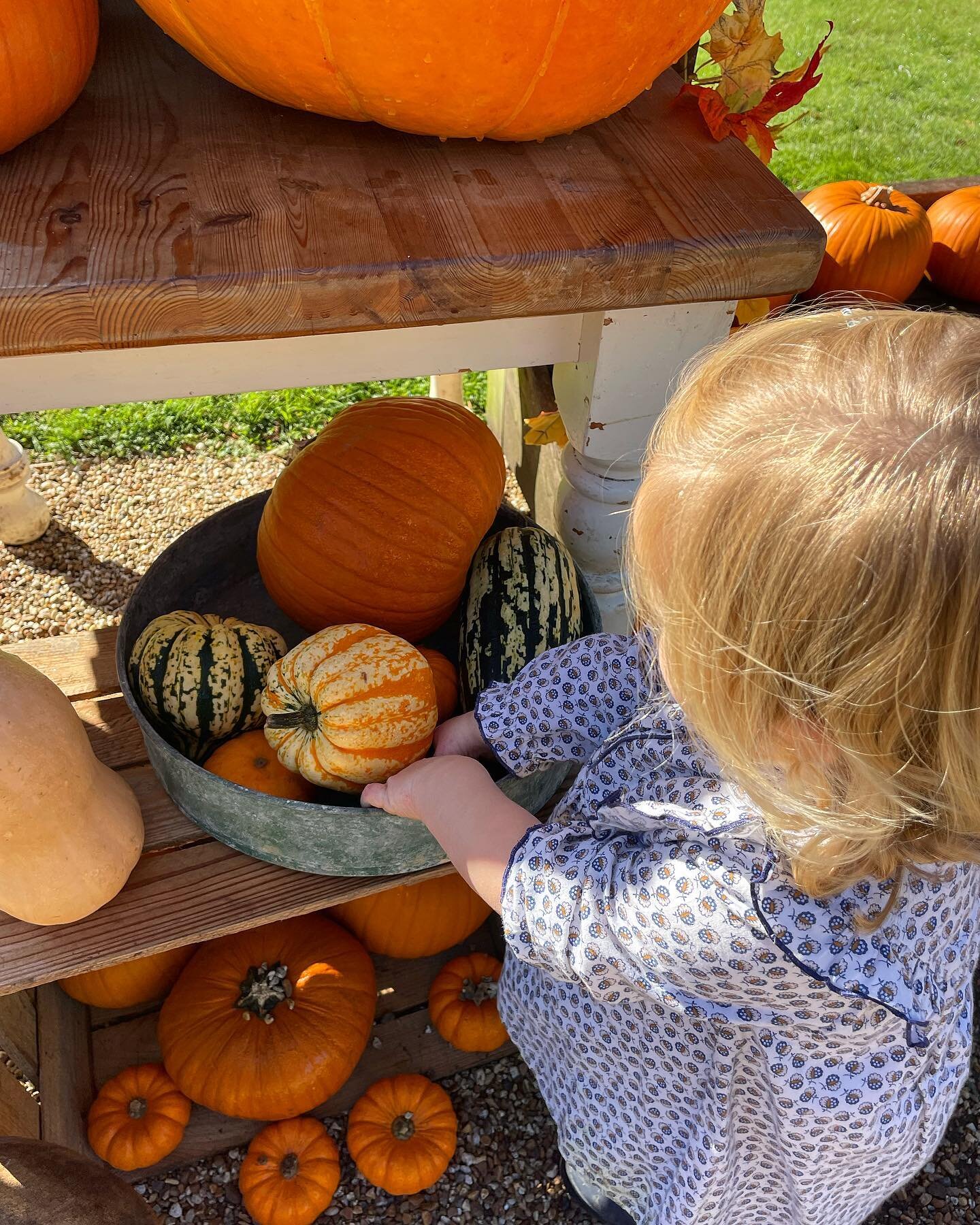 Autumn is here and we are really enjoying the beautiful colours it brings 🧡💛🍂🍁