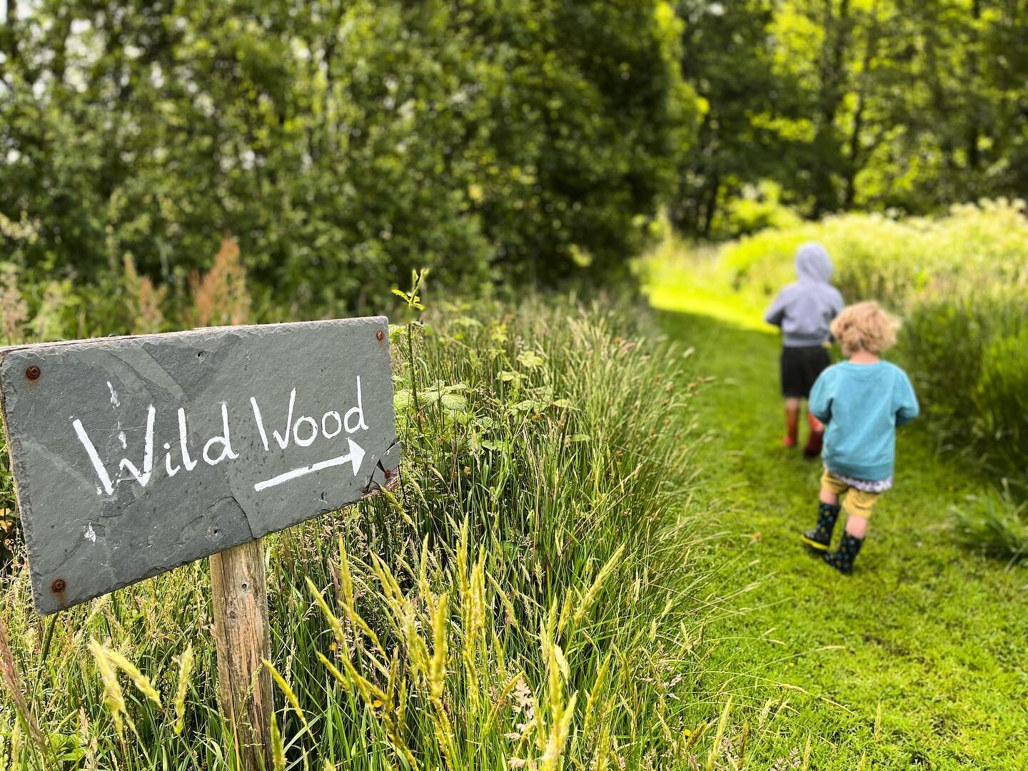 The Wild Wood 🌳 

Acres of woodland for you to explore. There&rsquo;s a beautiful stream, wild garlic and bluebells in spring and you might be lucky enough to spot a deer 🦌 

📷 Thank you @petewillmot for the photo of your little ones!