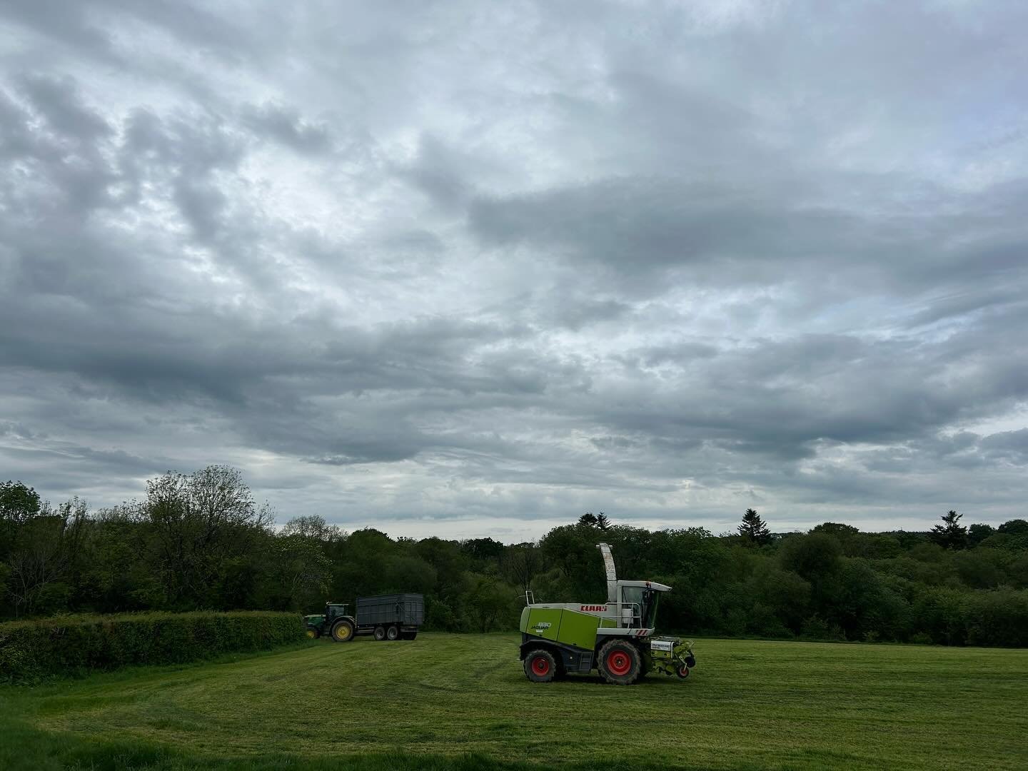 Busy busy on the farm yesterday 🚜 the local farmer has been collecting the first grass cut of the year.