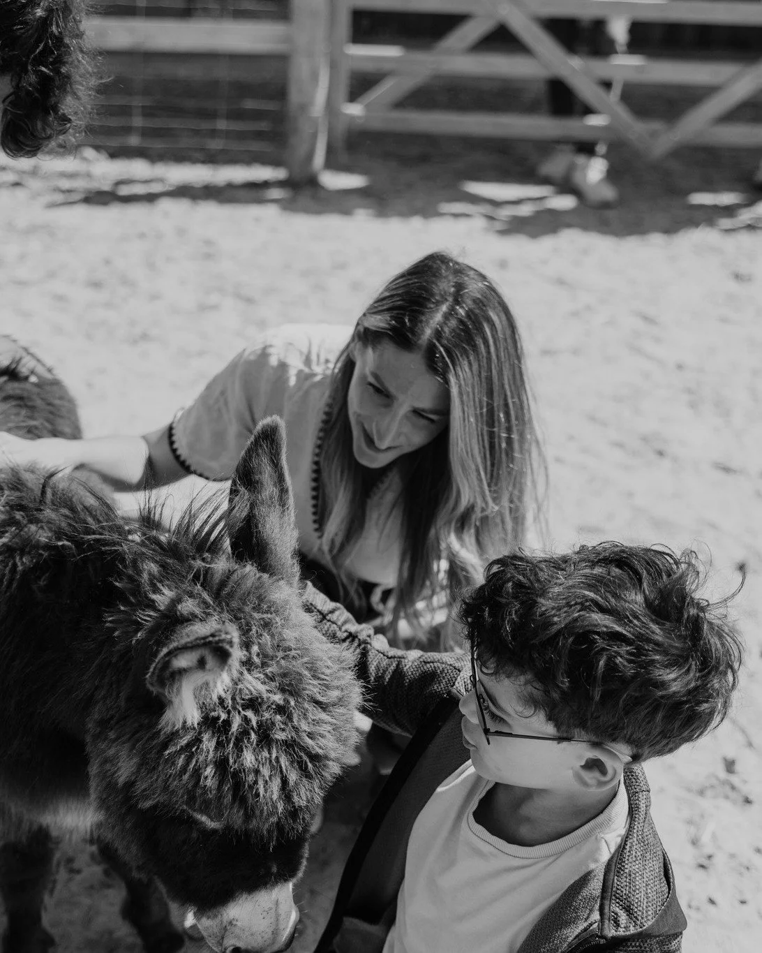 Nothing beats family time with our miniature donkeys &mdash; laughter, love, and a few extra-long ears make every moment special 🫏❤️

#FamilyTime #MiniDonkeys #FarmLife #DonkeyLove #SimpleJoys #CountryLiving #FamilyMoments #AnimalLovers #WholesomeDa