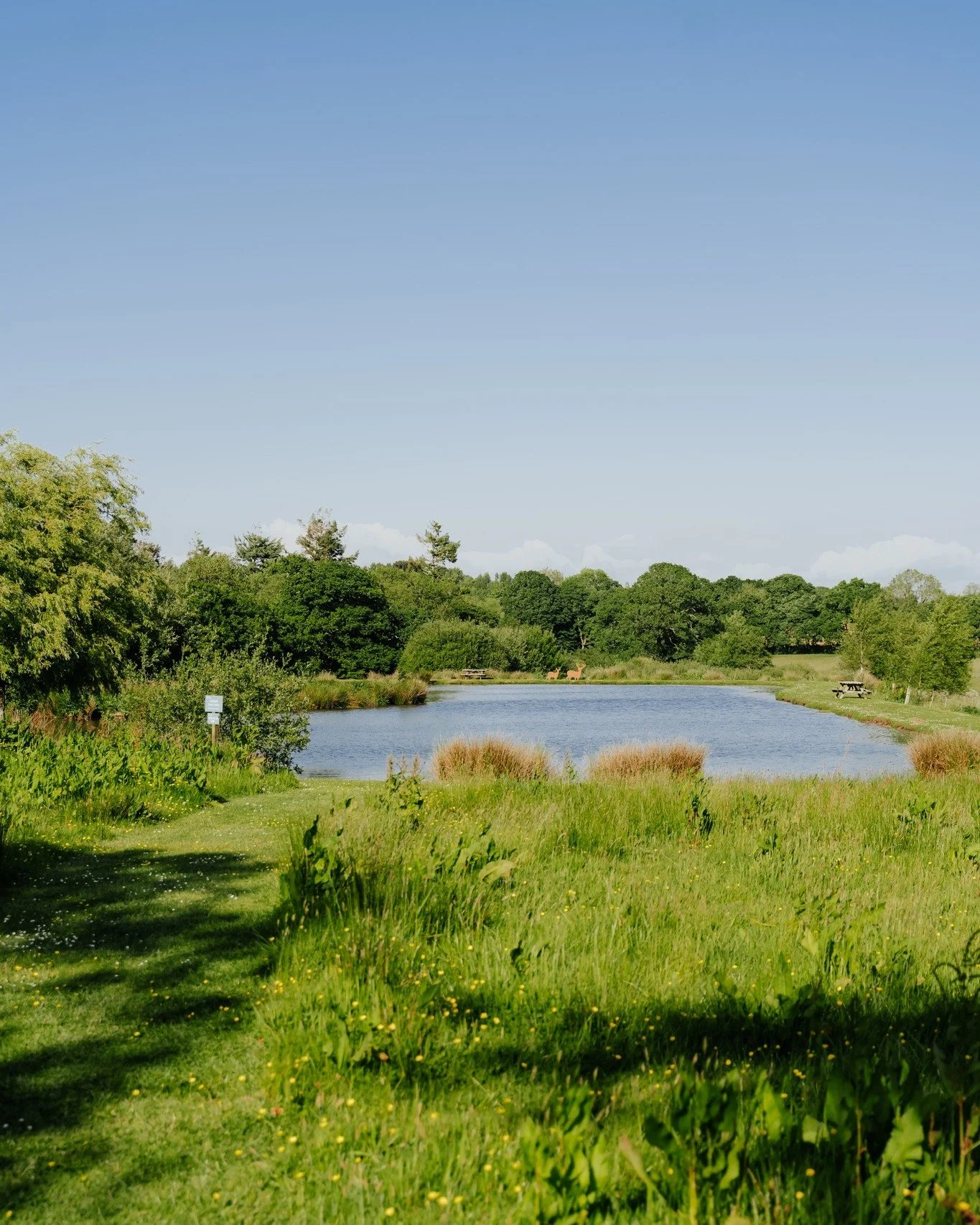 Looking for something different for your next corporate retreat? 🌿 Book the whole site at Libbear Barton and swap the office for fresh air, space to think and time to reconnect. 

👉 www.libbearbarton.co.uk/whole-site

#LibbearBarton #CorporateRetre