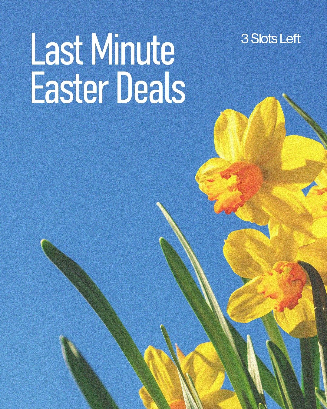 Only 3 slots remaining for our Easter last minute deals 🐣🌿 Don’t miss your chance to enjoy a spring countryside escape at Libbear Barton. 

www.libbearbarton.co.uk/last-minute-deals

#LibbearBarton #EasterDeals #LastMinuteEscape #EasterGetawa