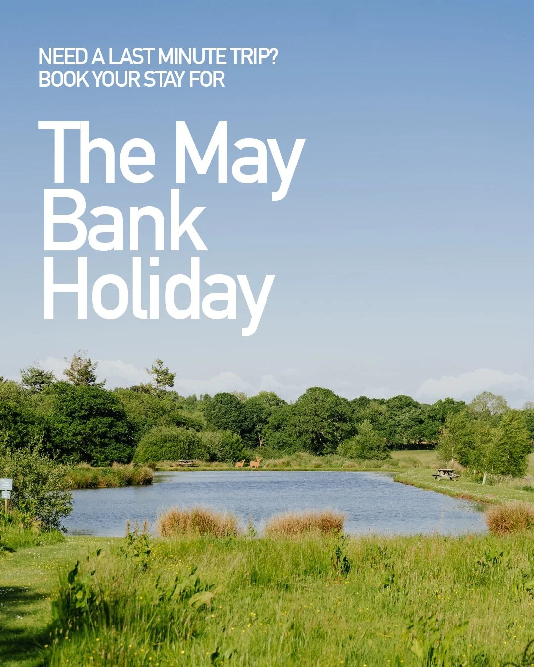 Last available slots for the May Bank Holiday 🌿✨ Don&rsquo;t miss your chance to escape to the countryside at Libbear Barton.

https://www.libbearbarton.co.uk/

 #LibbearBarton #MayBankHoliday #LastAvailability #BookNow #CountrysideEscape #RuralRetr