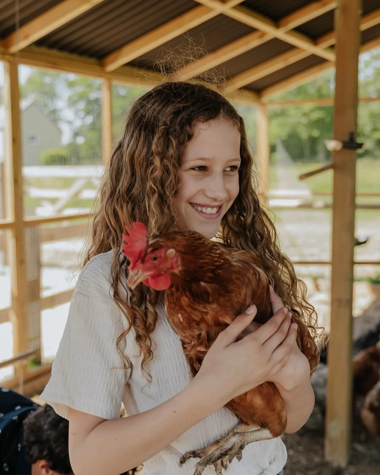 Sunshine = happy animals ☀️🐴🐔 Safe to say the Libbear crew are making the most of it 🌿✨ 

#LibbearBarton #FarmLife #SunnyDays #HappyAnimals #CountrysideLiving AnimalLovers DevonStay SpringVibes FarmStay UKHolidays