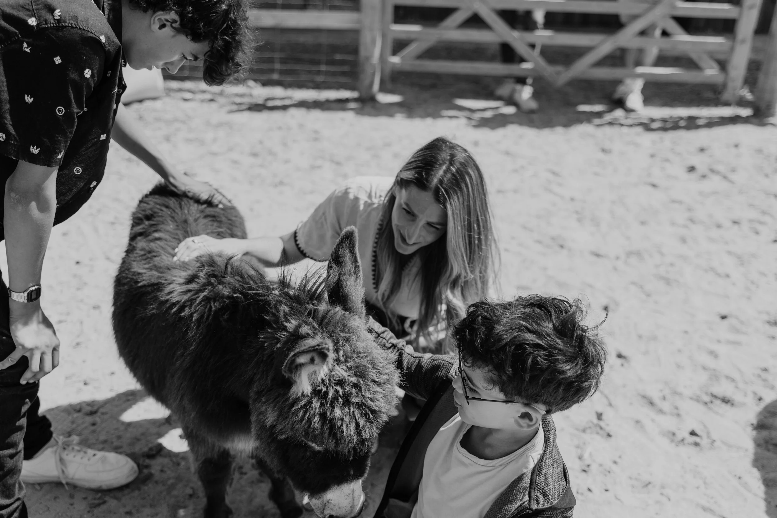 Ferme pédagogique-15.jpg