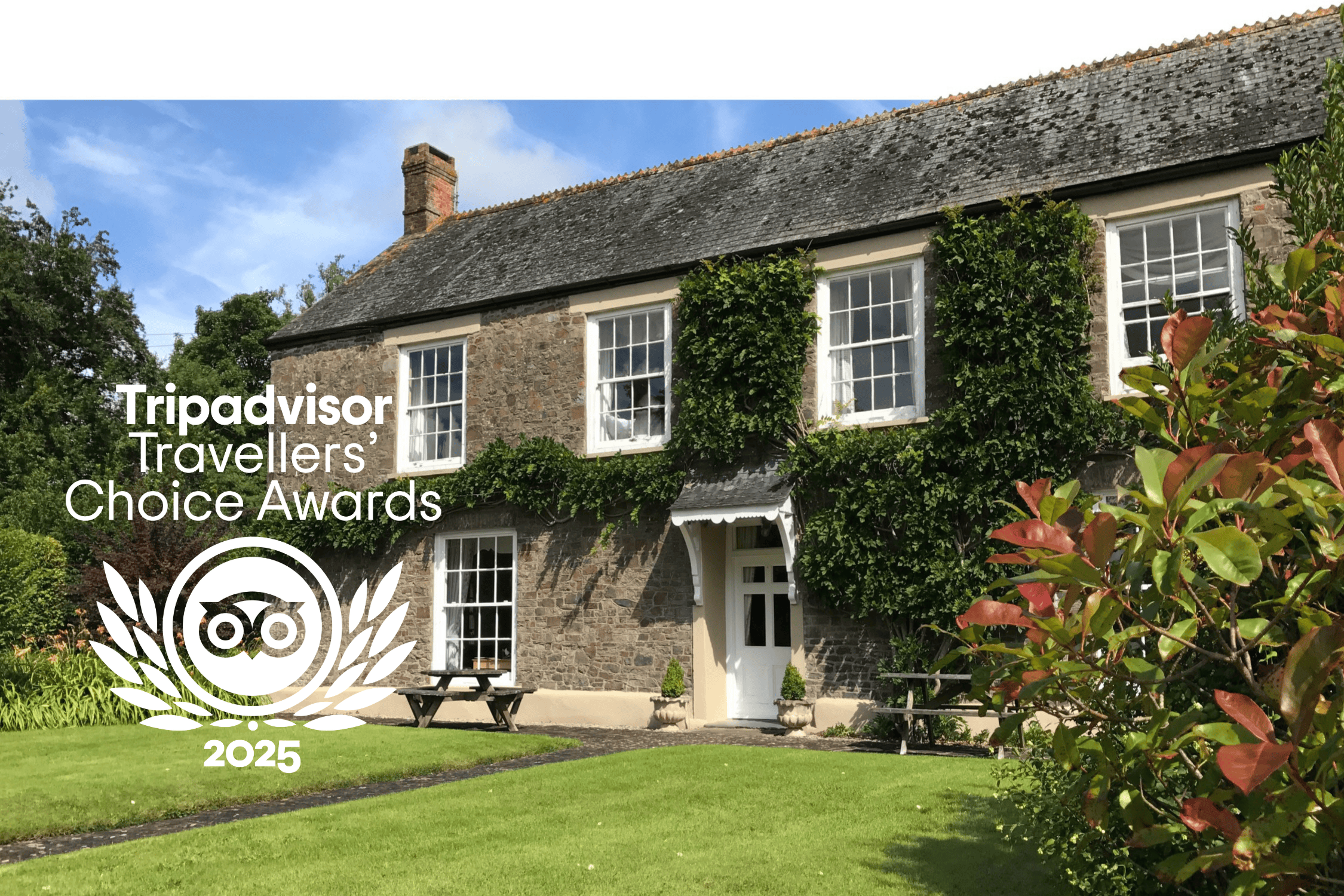 Toad with TA TC 2025.png