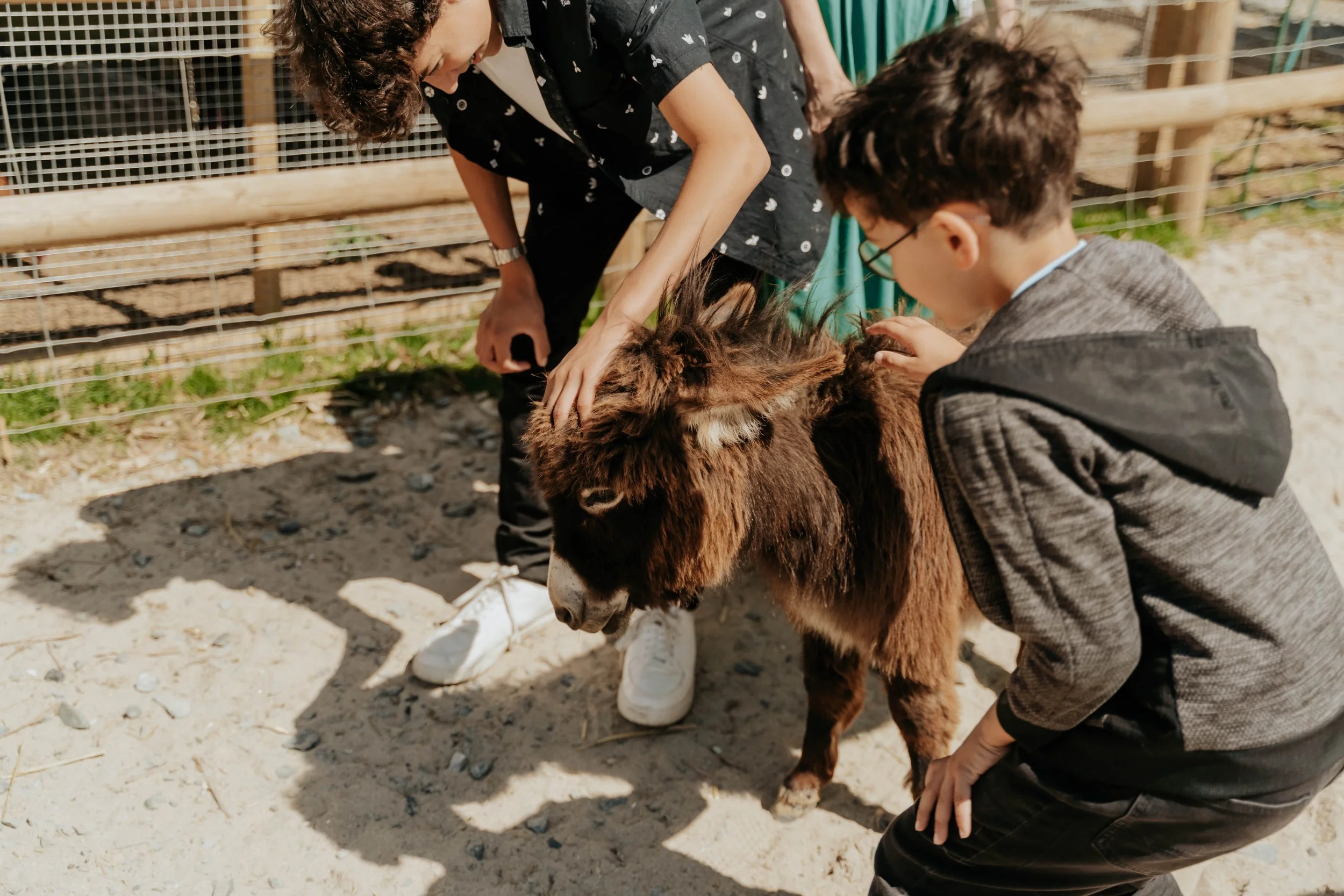 Ferme pédagogique-14.jpg