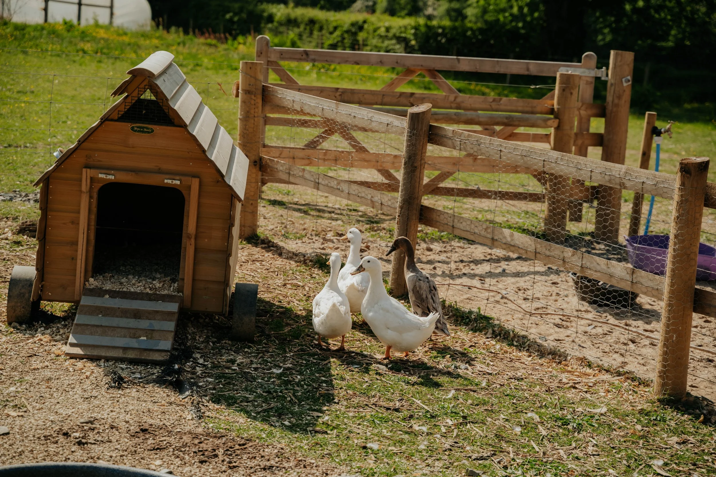 Ferme pédagogique-2.jpg