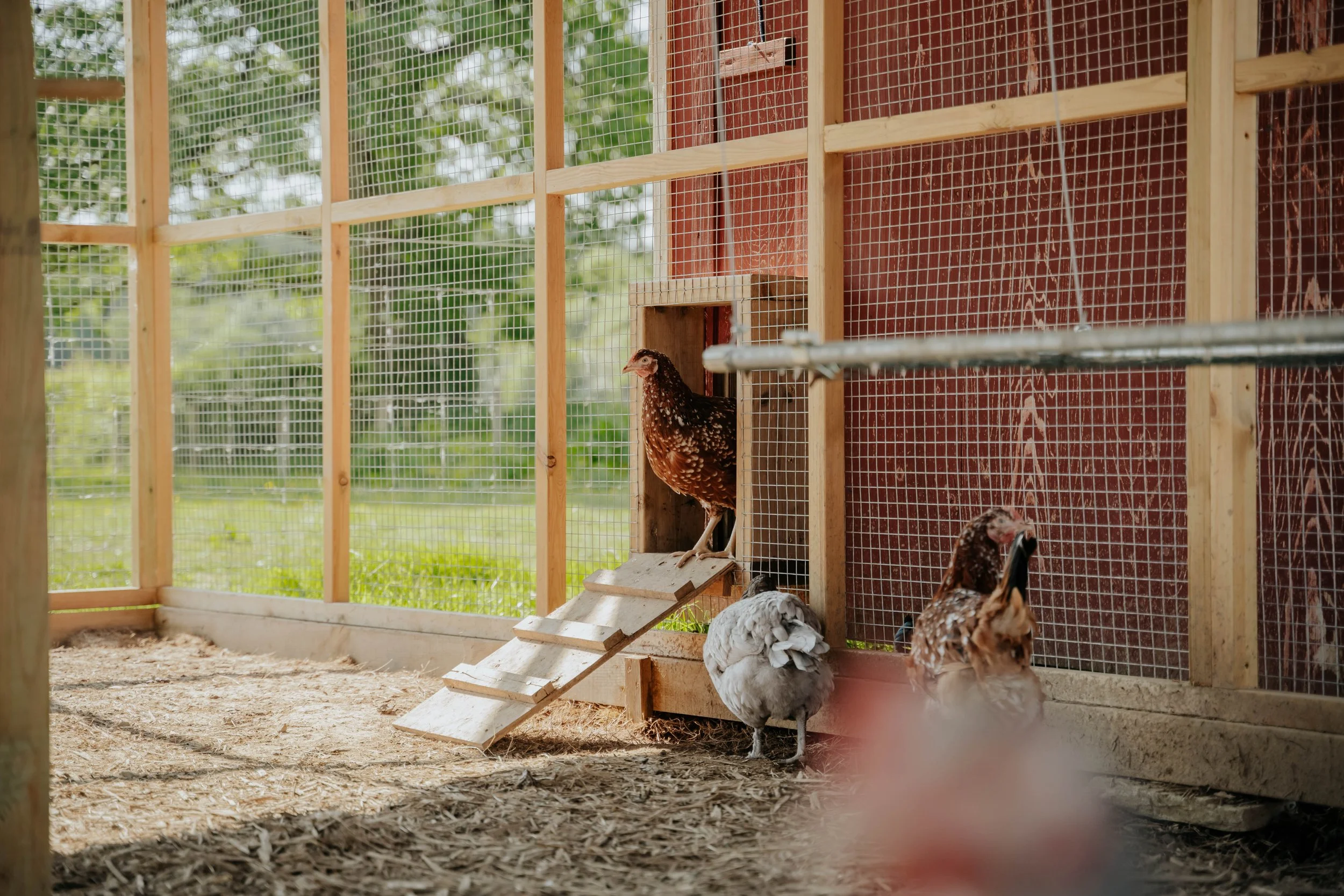 Ferme pédagogique-6.jpg