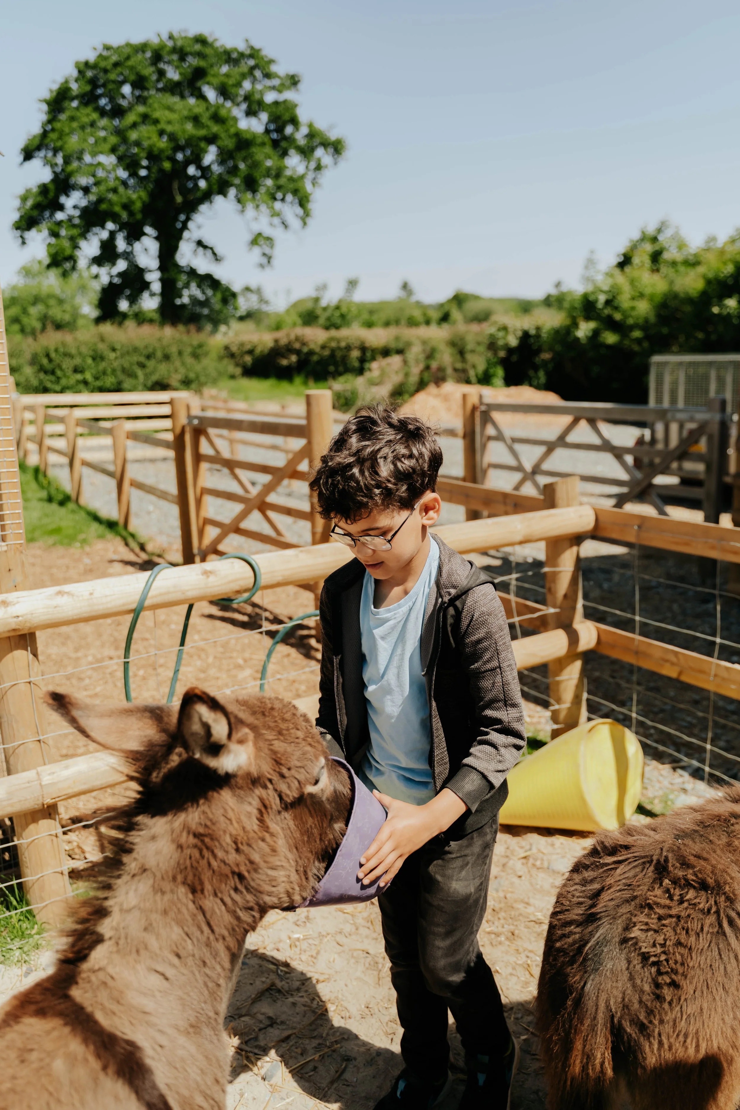 Ferme pédagogique-17.jpg