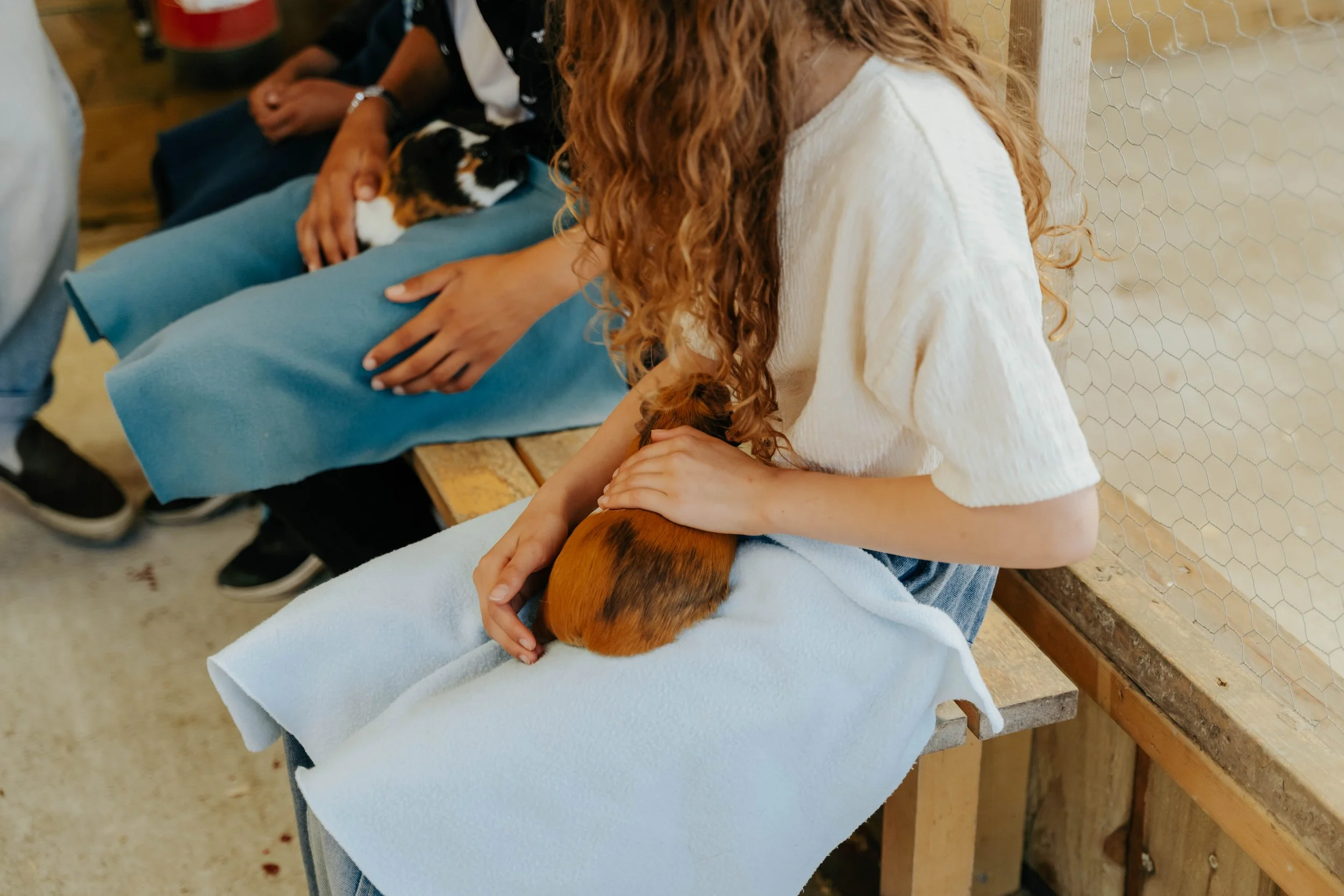 Ferme pédagogique-24.jpg