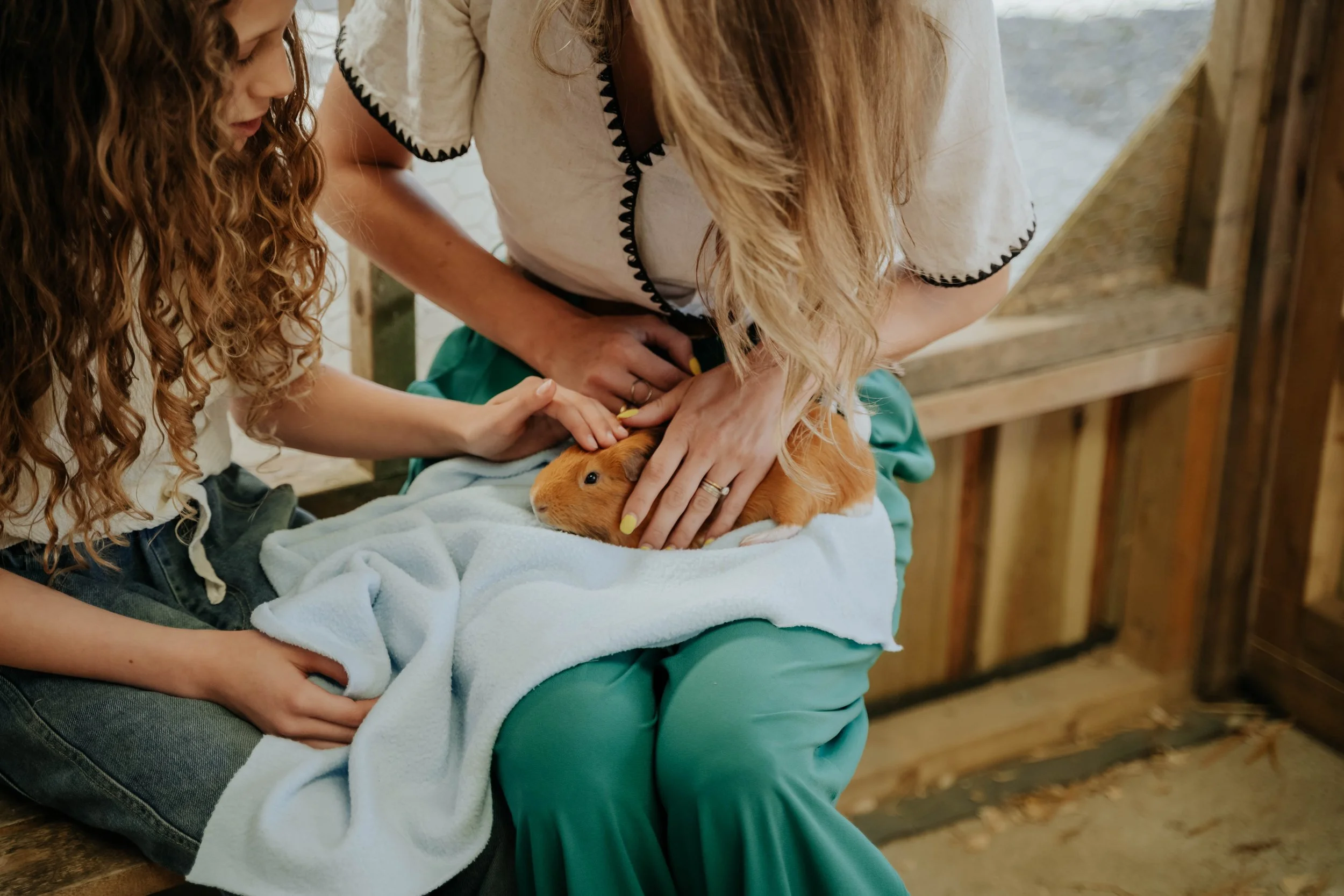 Ferme pédagogique-27.jpg