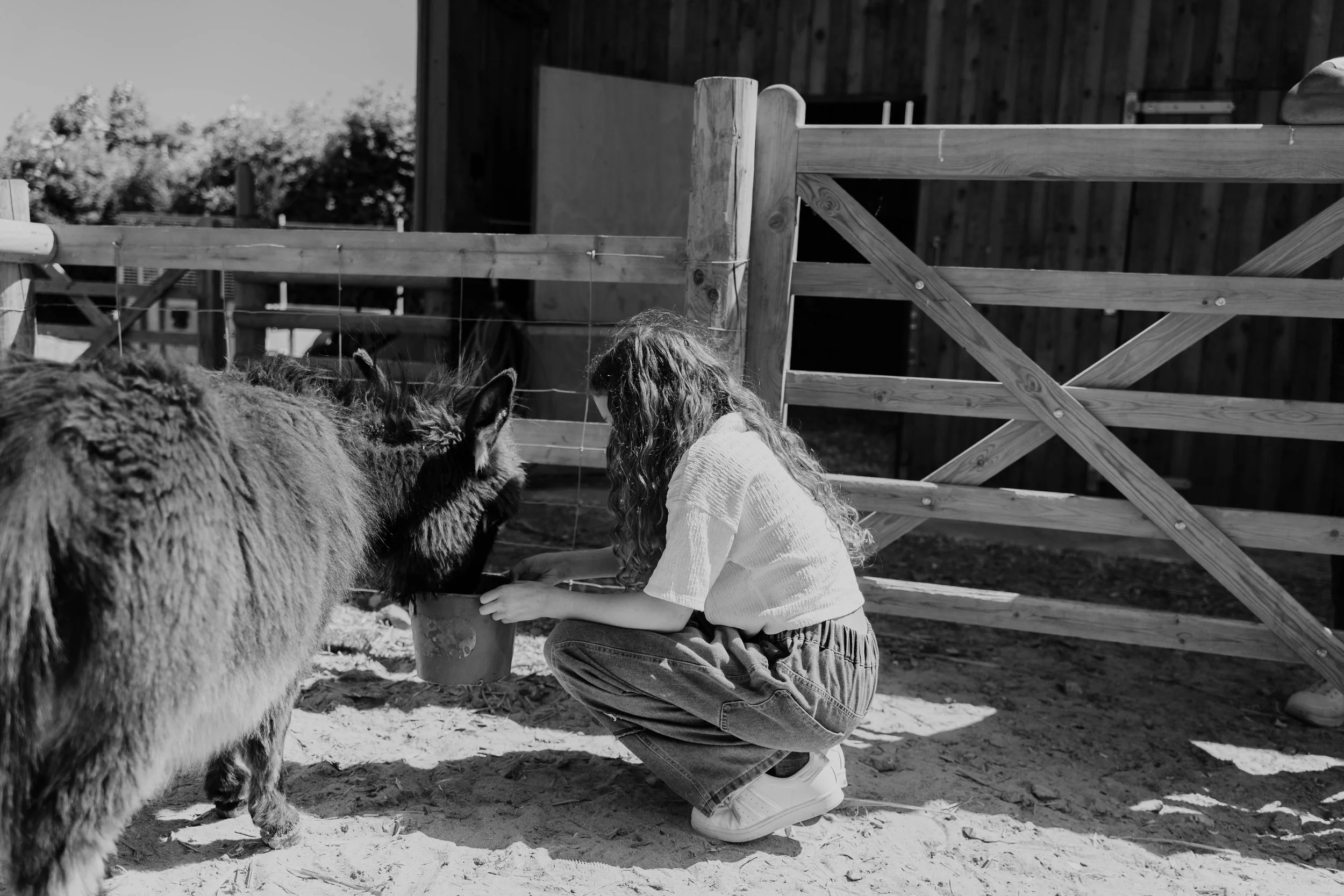 Ferme pédagogique-18.jpg