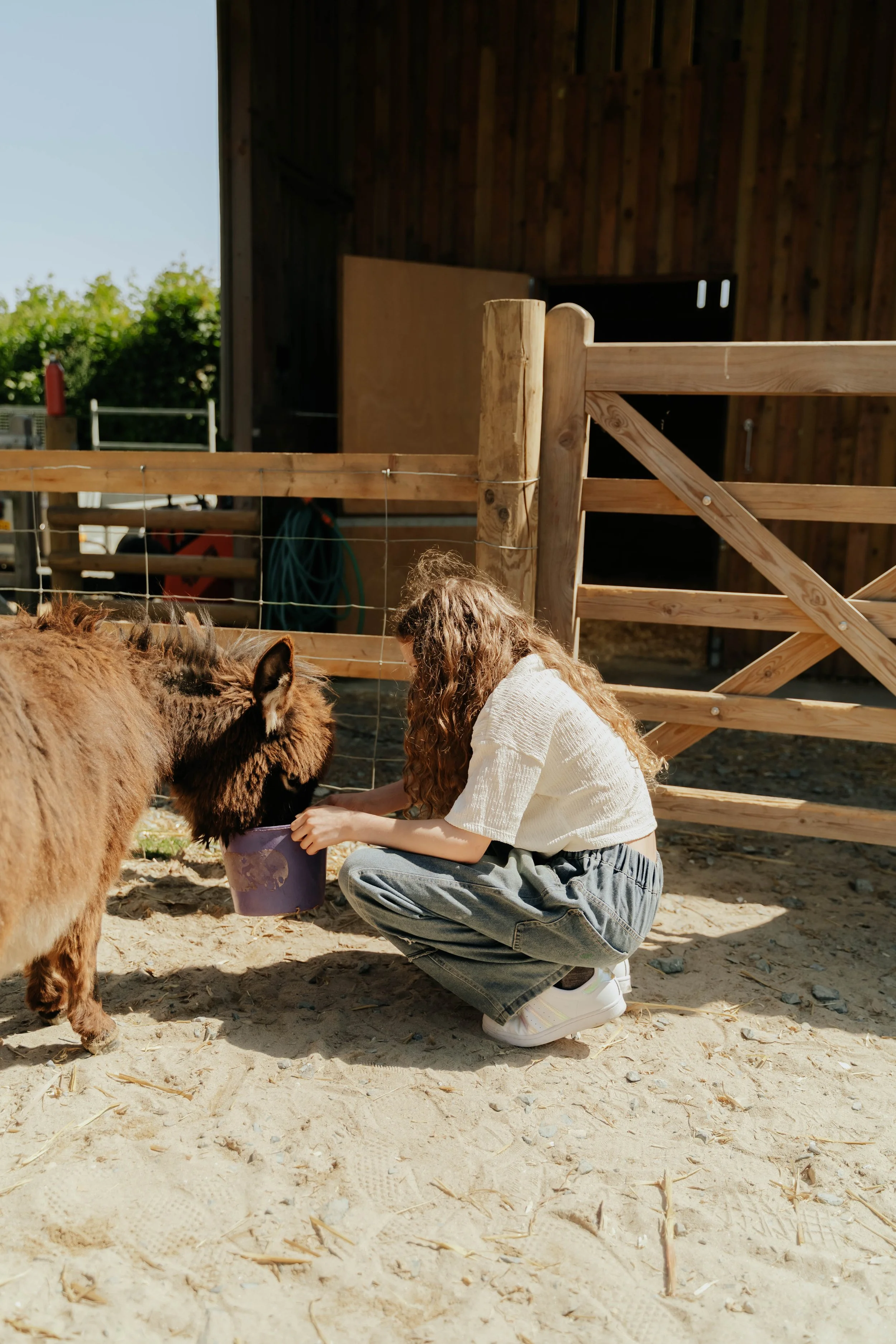 Ferme pédagogique-19.jpg