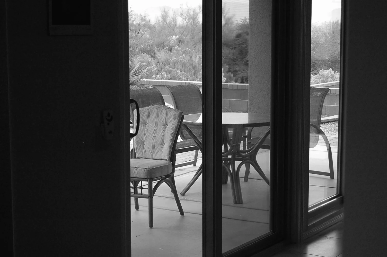DSC_0042bw.JPG