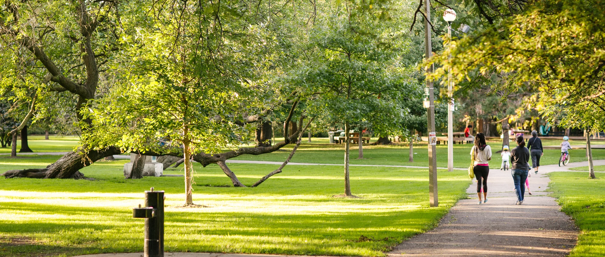 Park Project_Indian Boundary Park_2000px-032 cropped.jpg