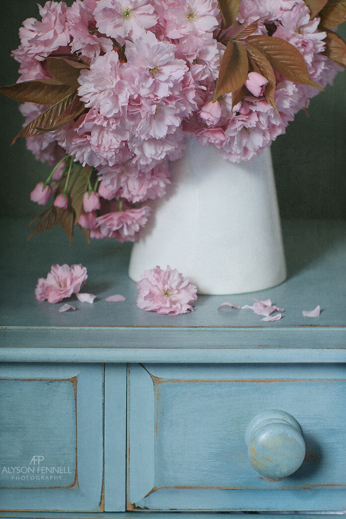 Cherry Blossom Still Life