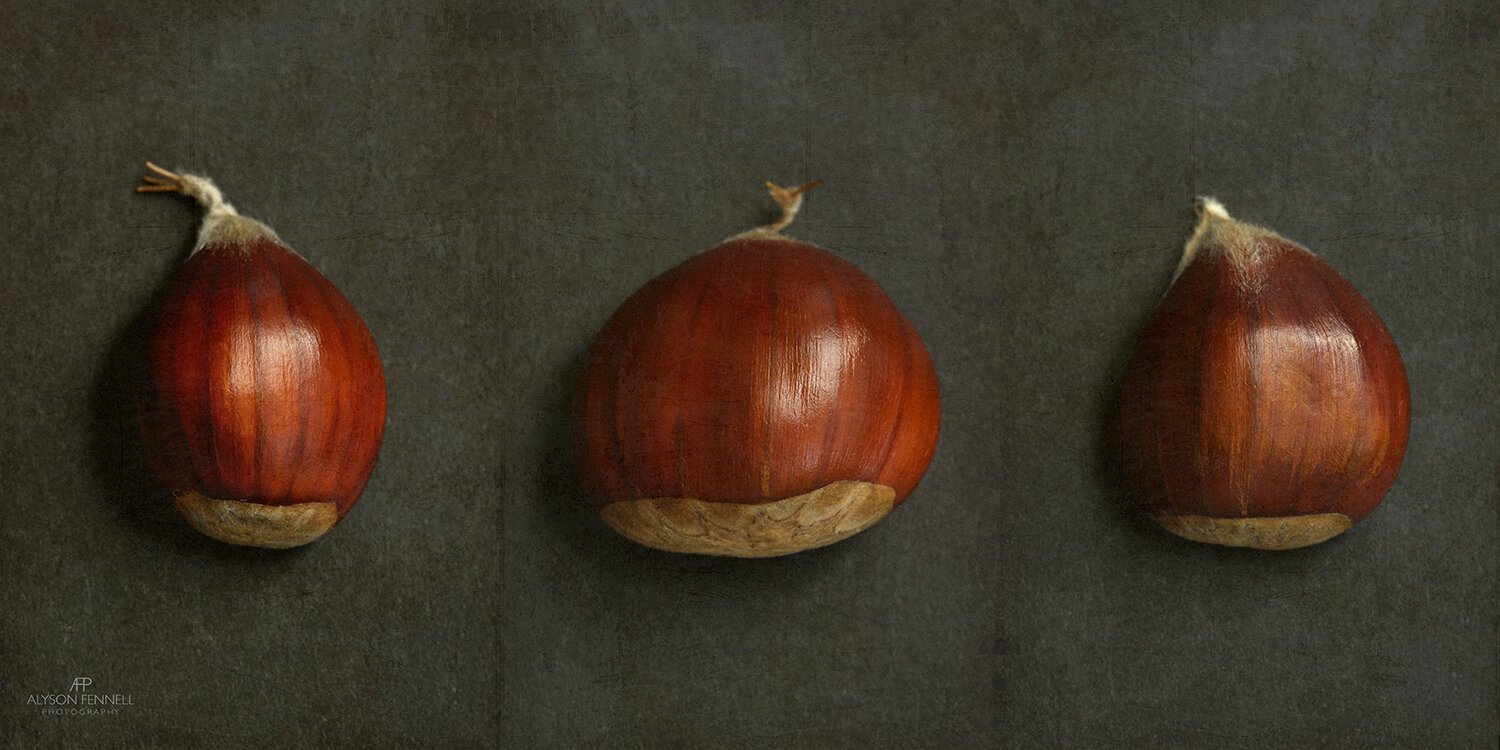 Chestnut Triptych