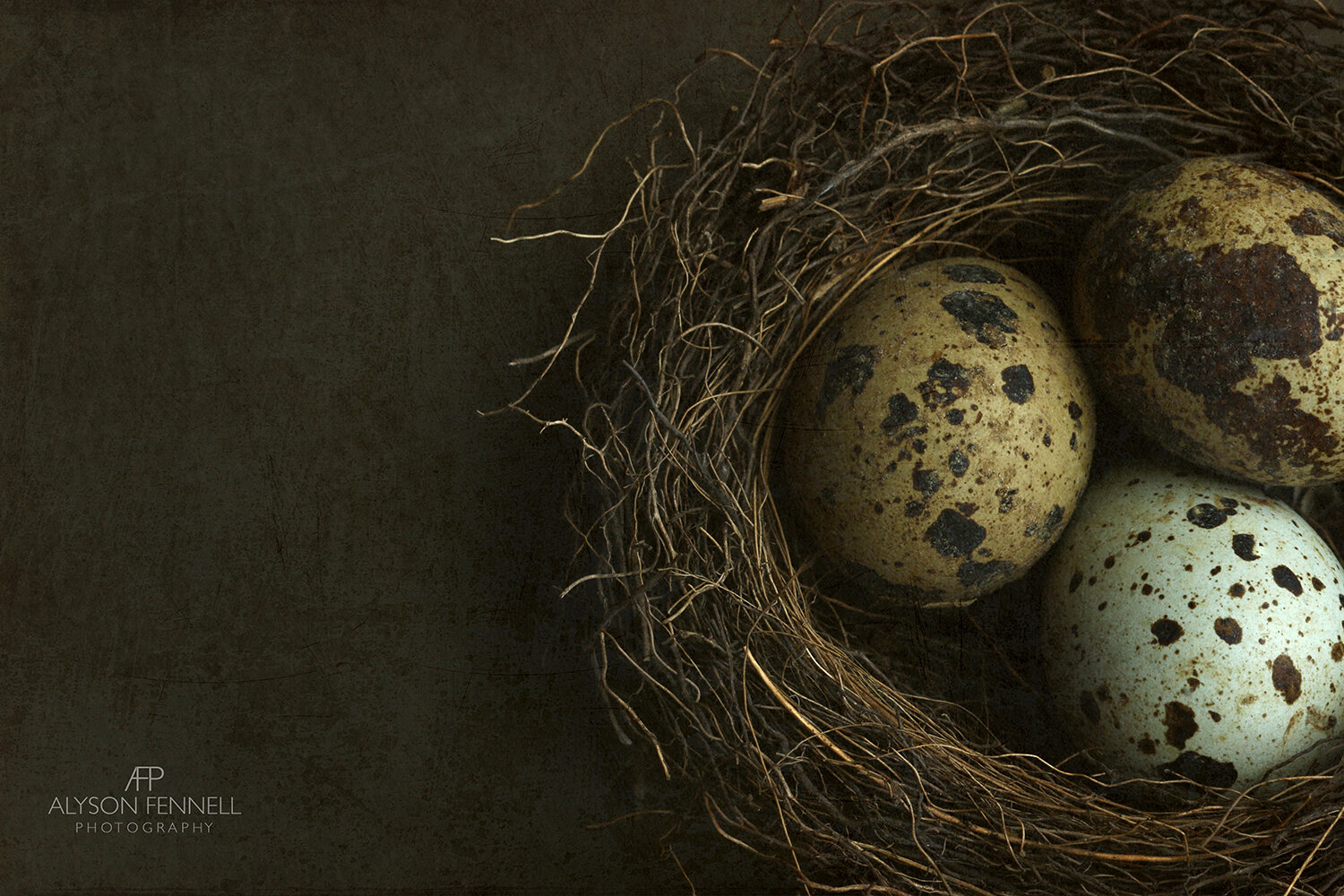 Bird's Nest and Quail's Eggs