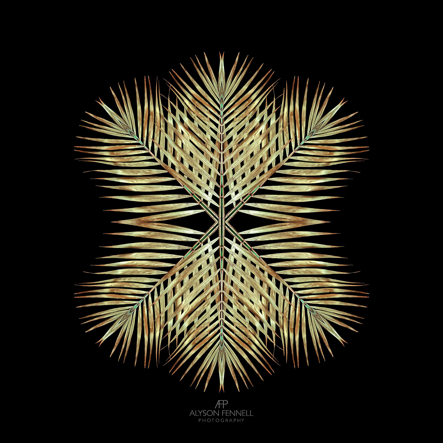 Gold Deco Palm Star