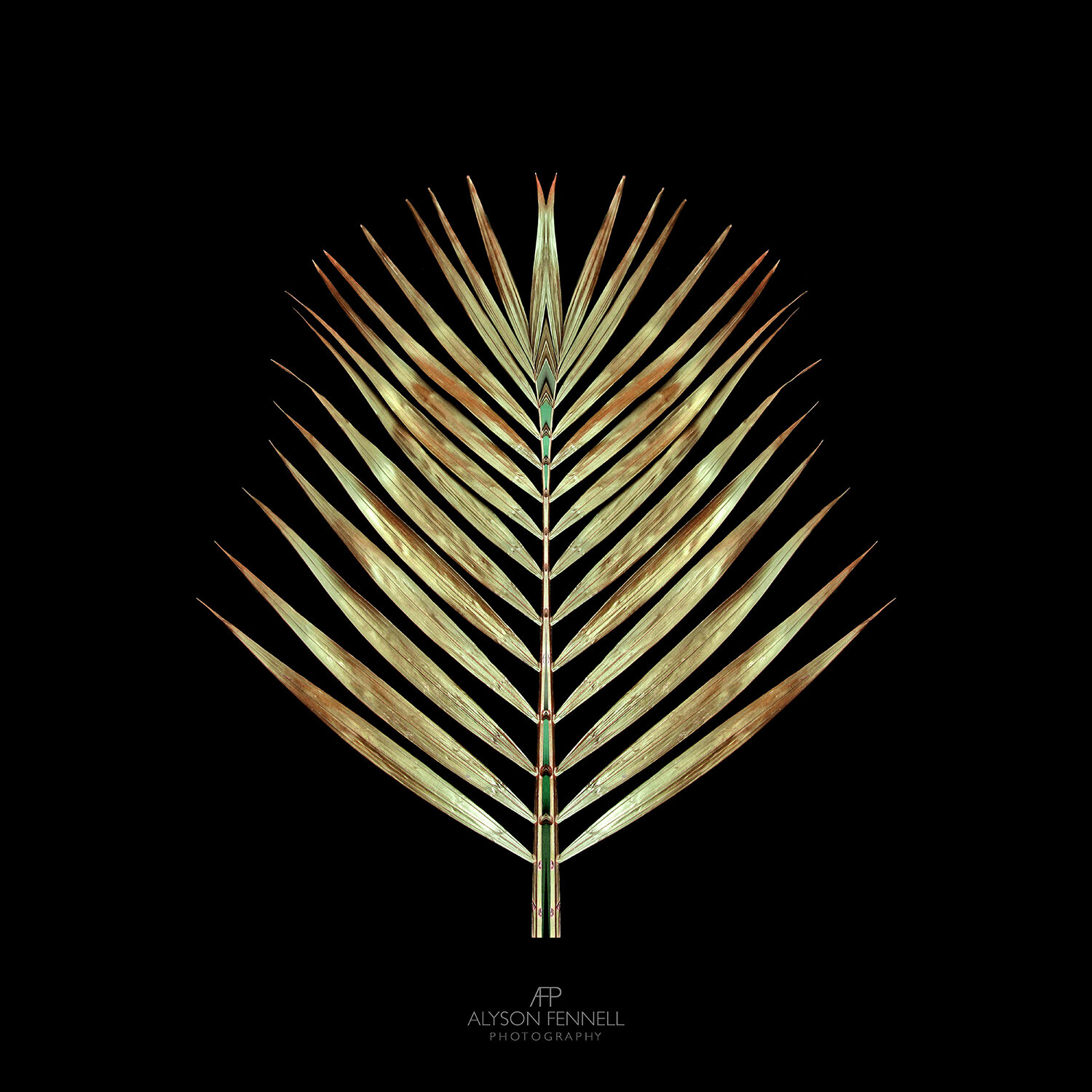 Gold Deco Palm.