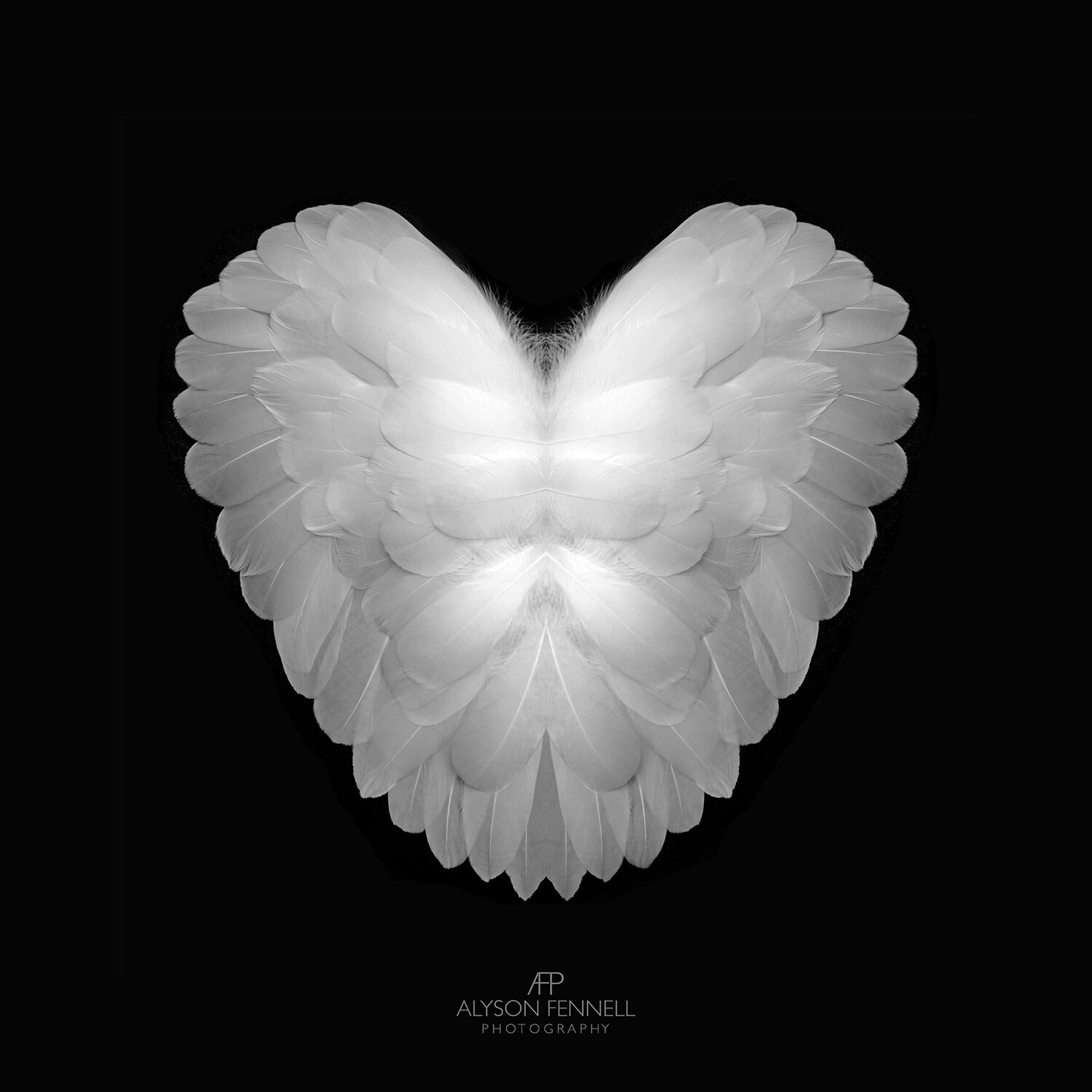 Angel Feather Heart