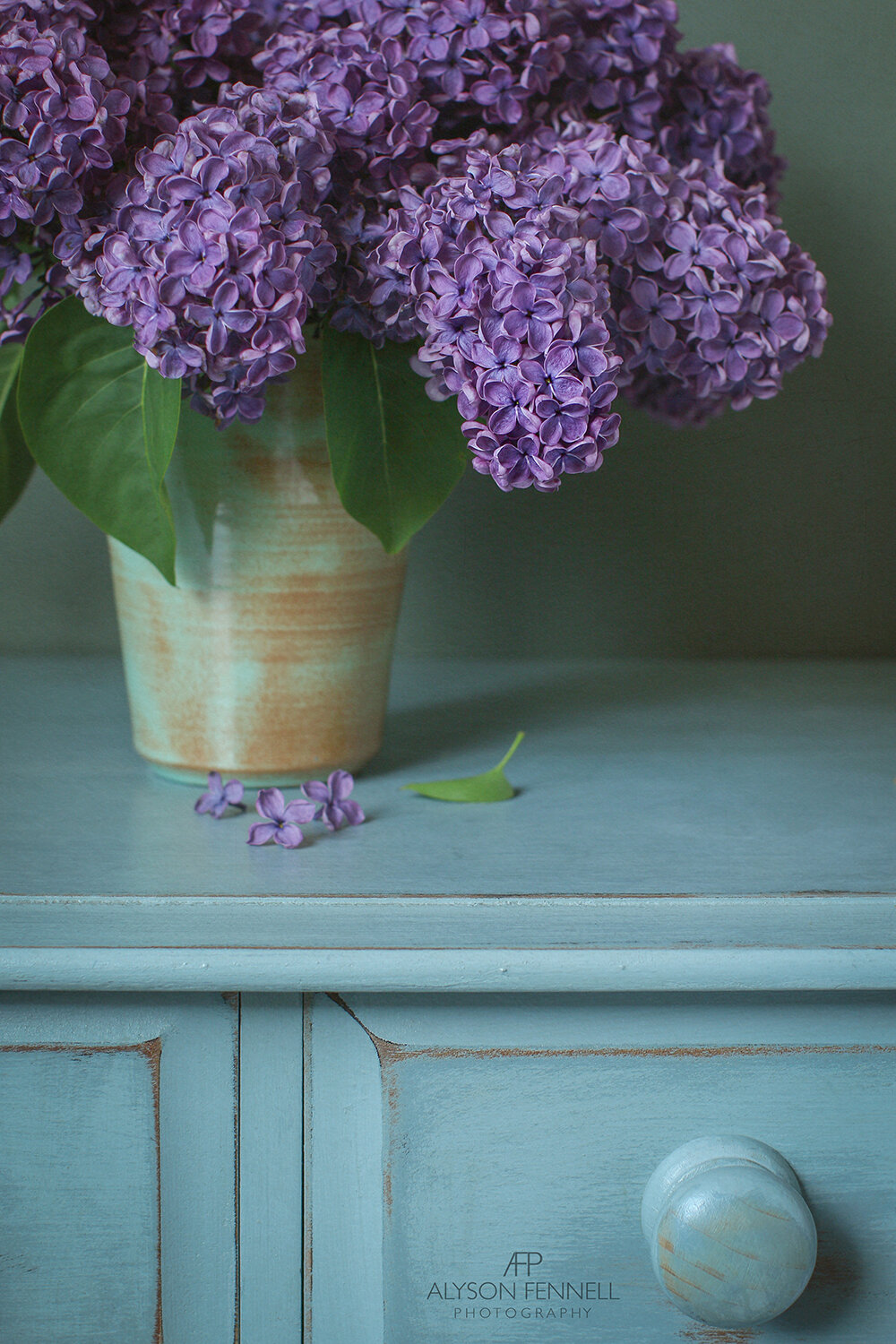 Lilac Still Life