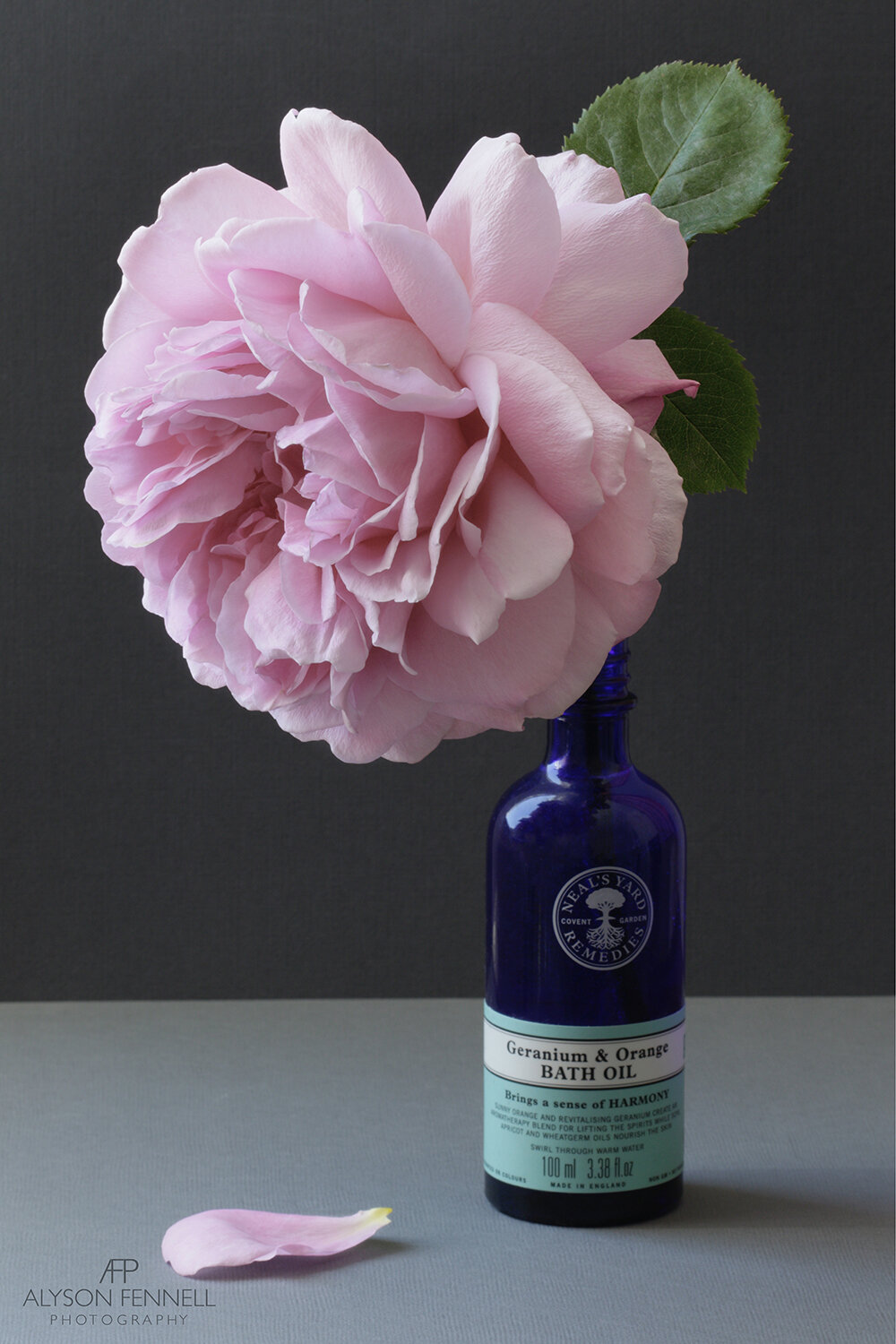 English Rose and Neal's Yard Bottle Still Life