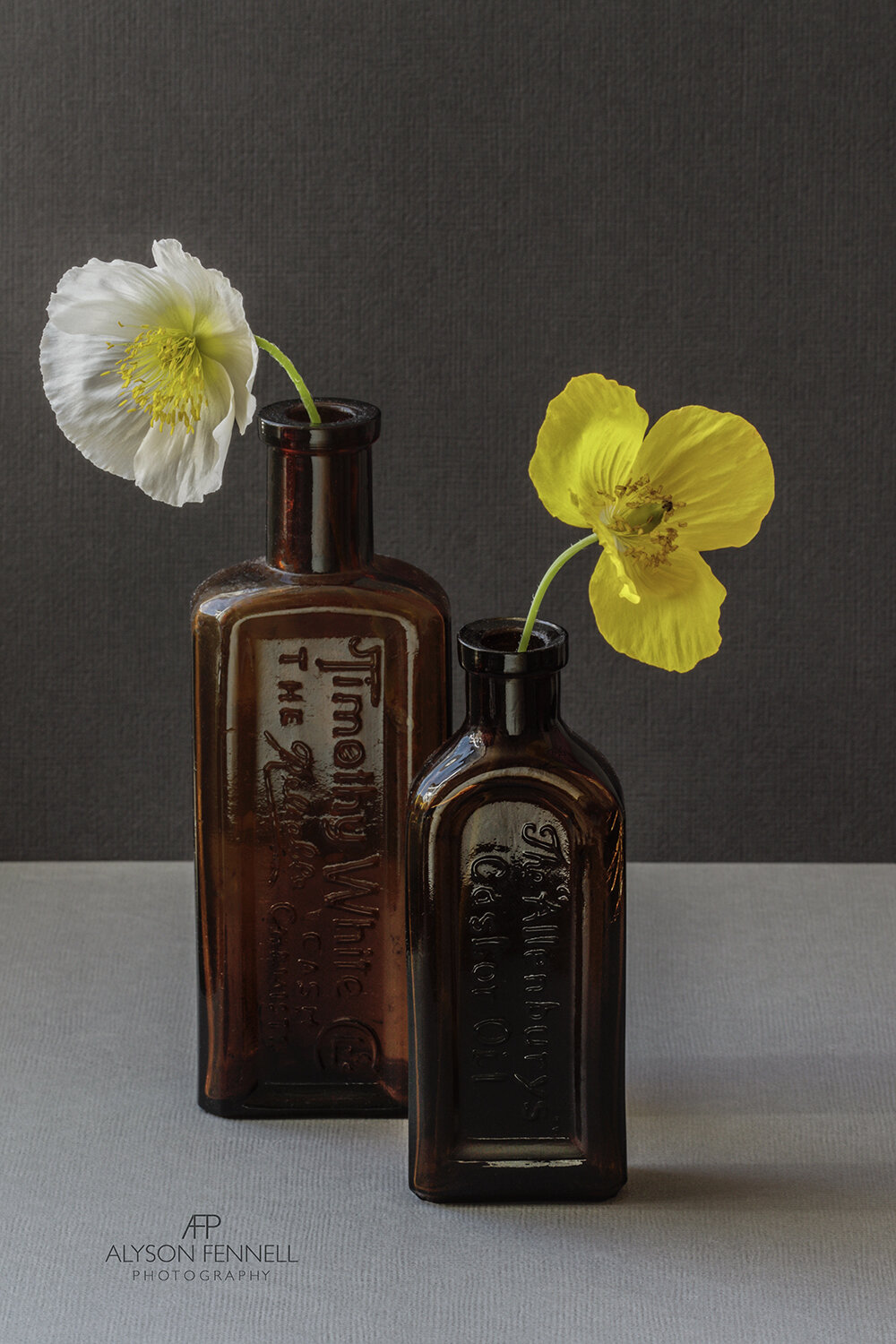 Icelandic and Welsh Poppy in Antique Medicine Bottles