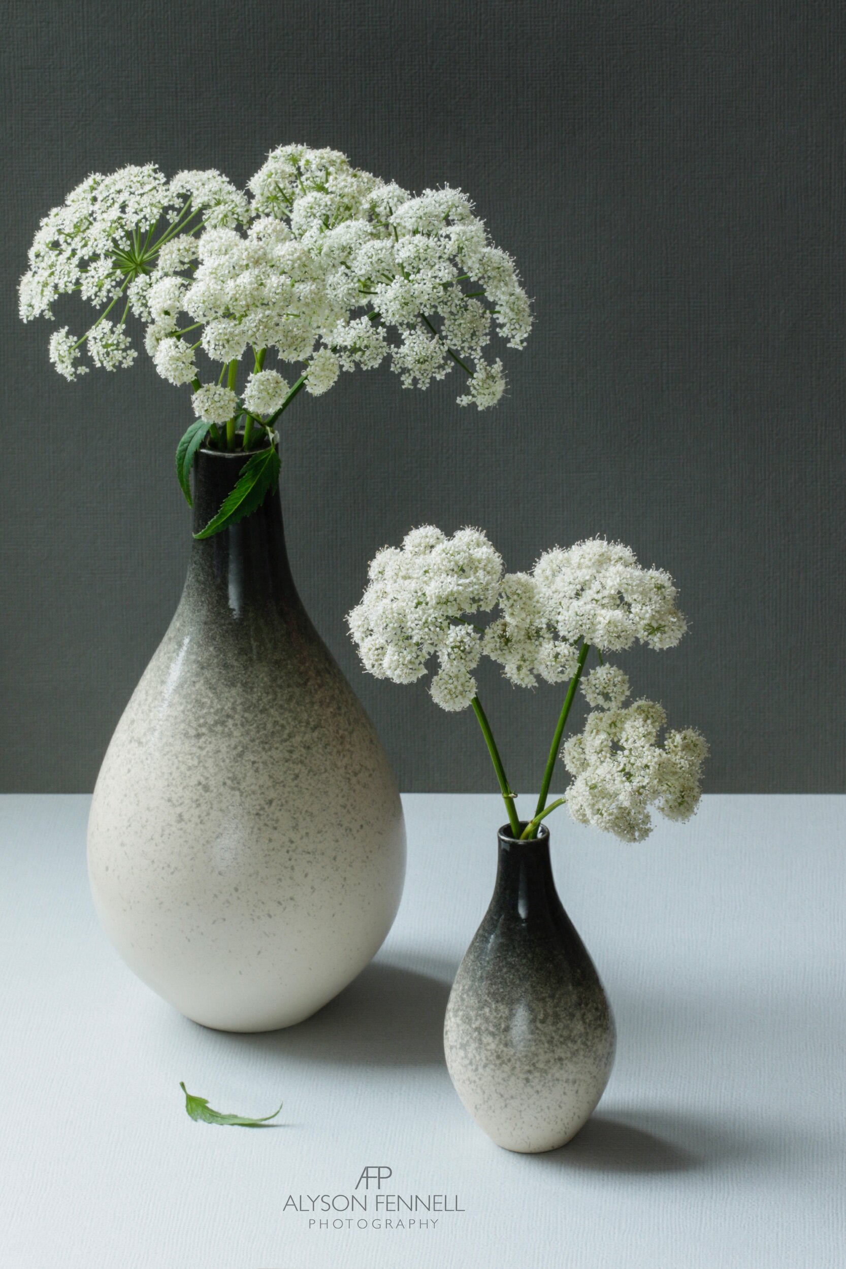 Cow Parsley in Rachel Pritchard Vases