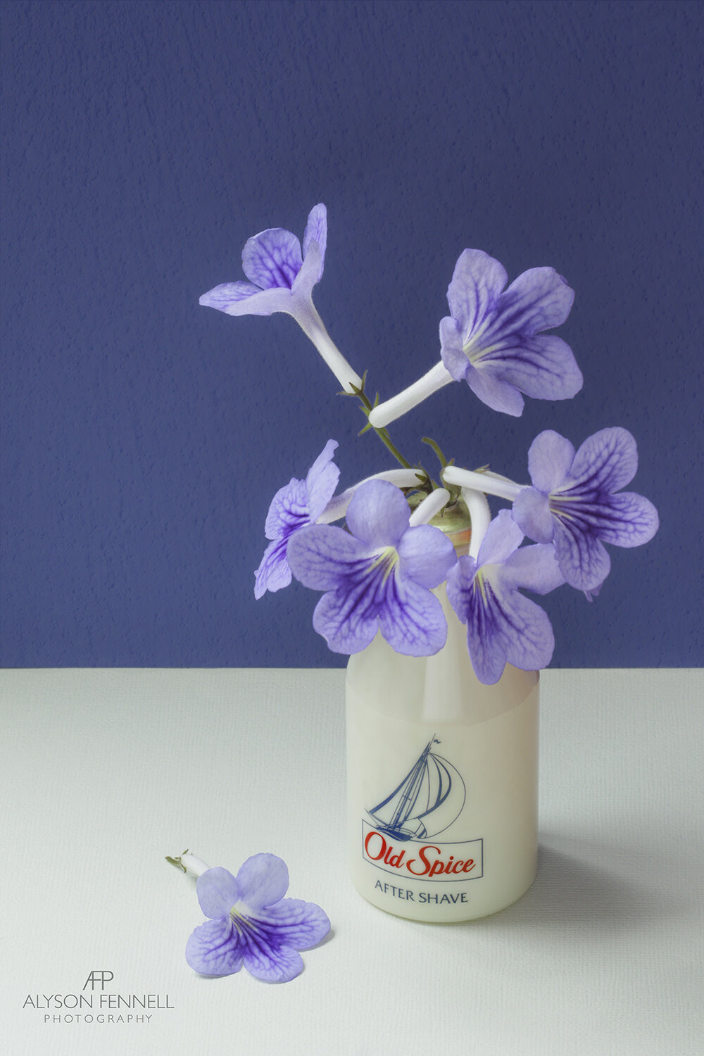 African Violets in a Vintage Old Spice Bottle