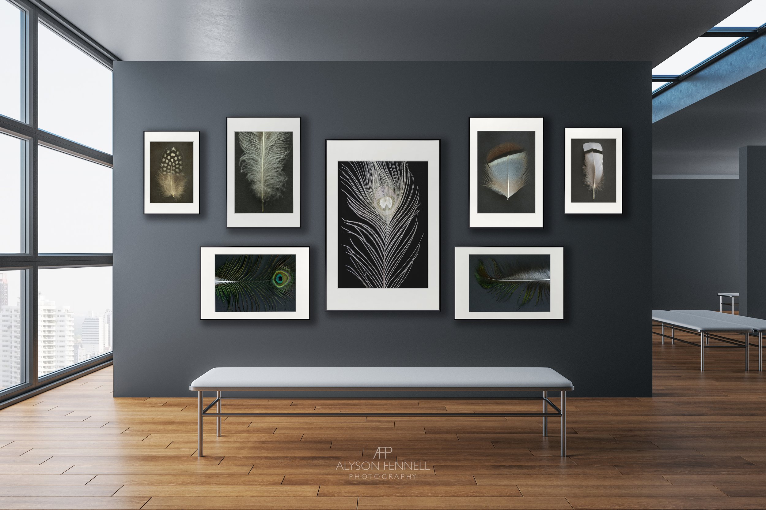 Feather Collection Gallery Wall
