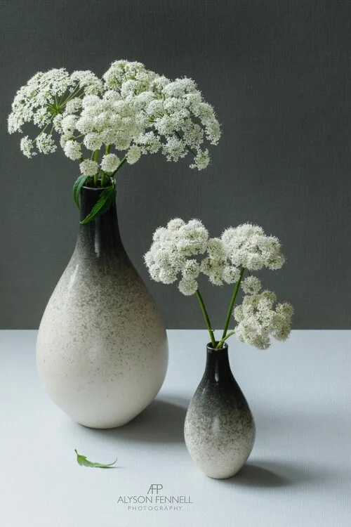 Cow+Parsley+in+Rachel+Pritchard+Vases+web.jpeg