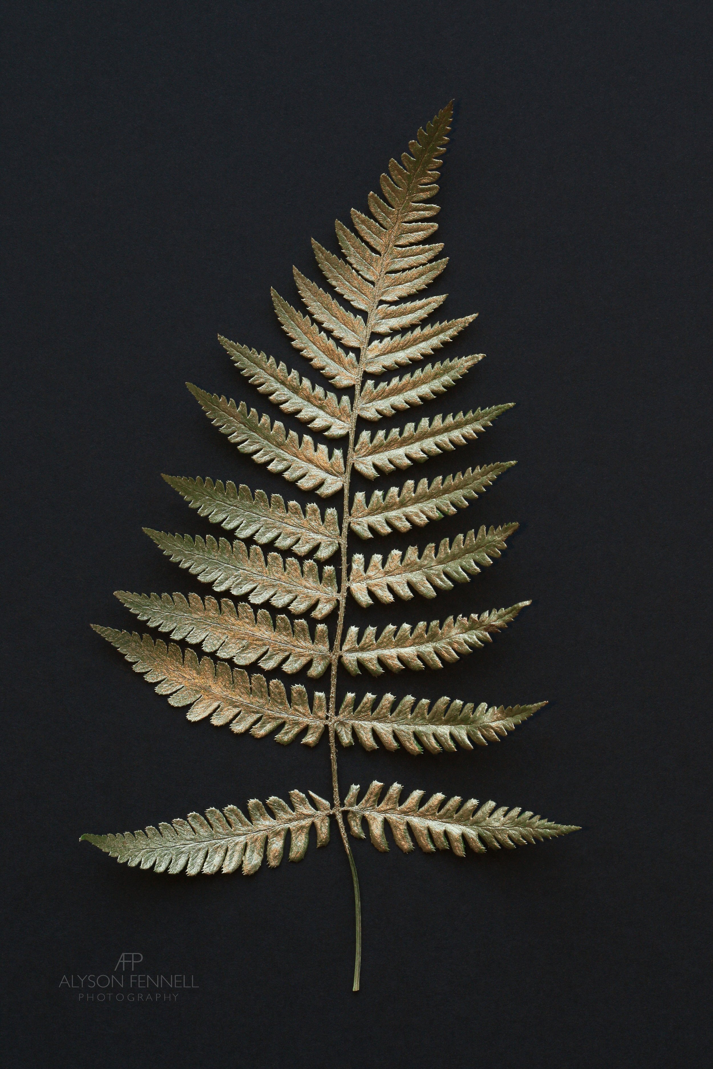 Gold Fern Leaf