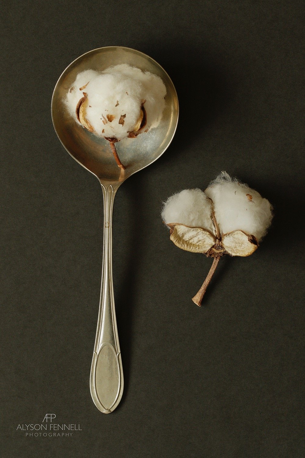 Cotton and Spoon
