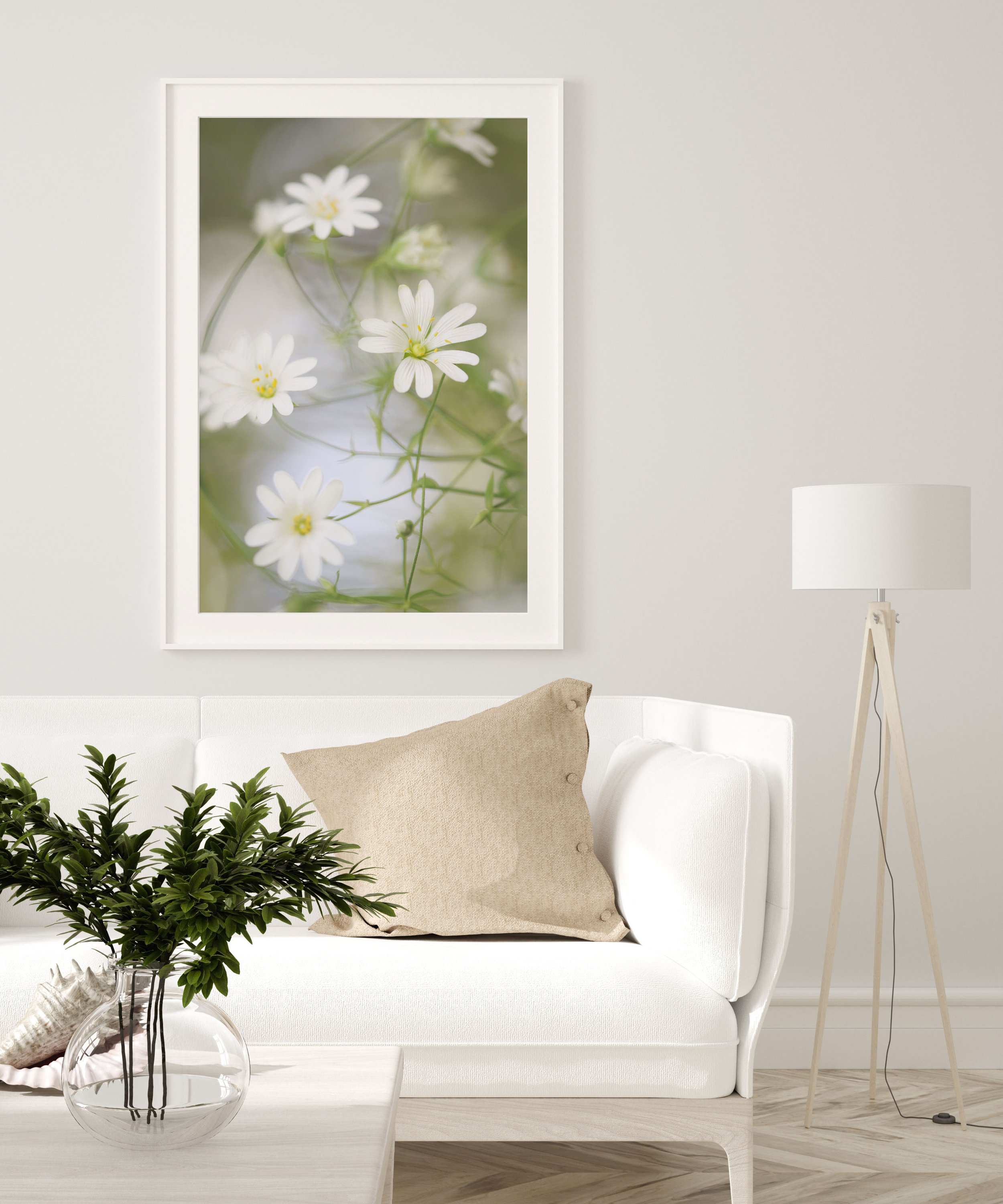 Wild Stitchwort Flowers Framed Print.