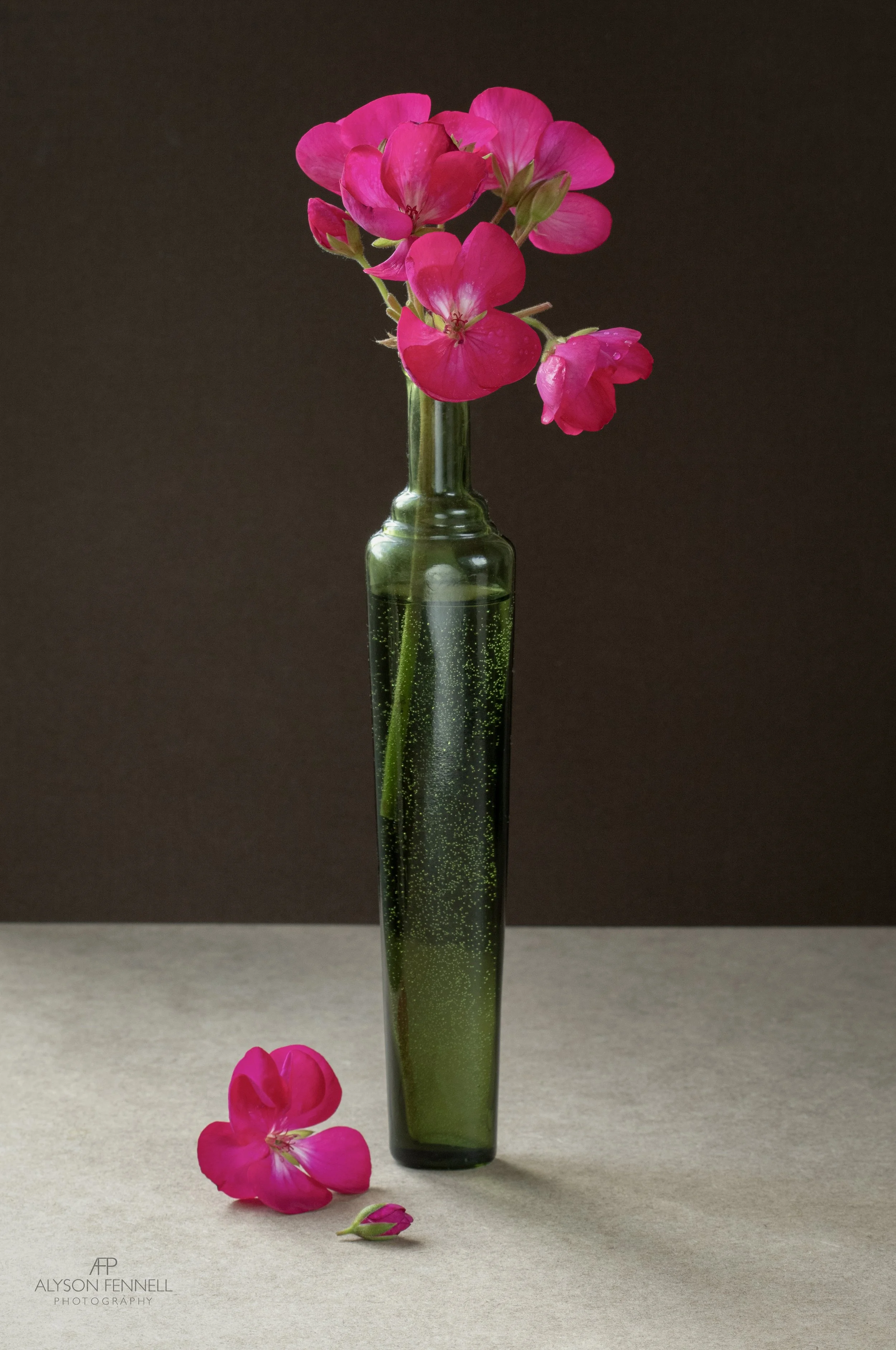 Pink Geranium Still Life